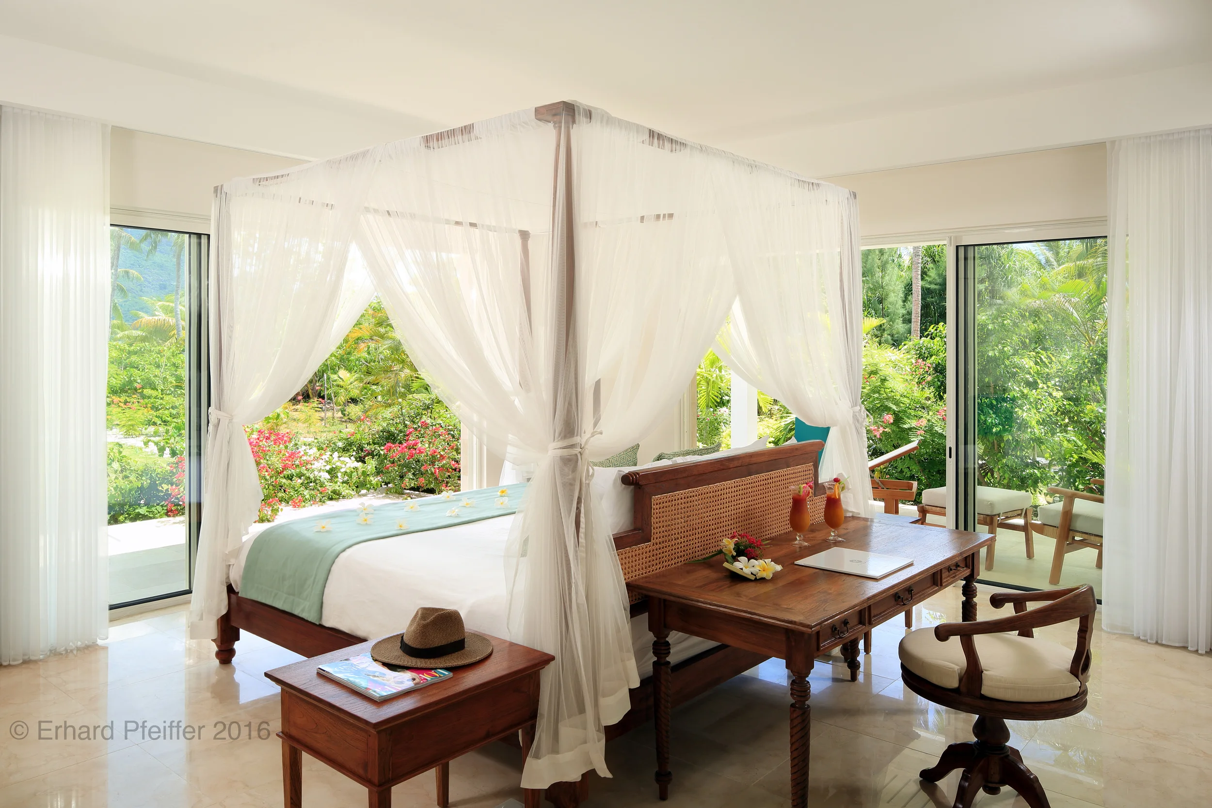 Bora_8374_Revised_view saturated.JPG