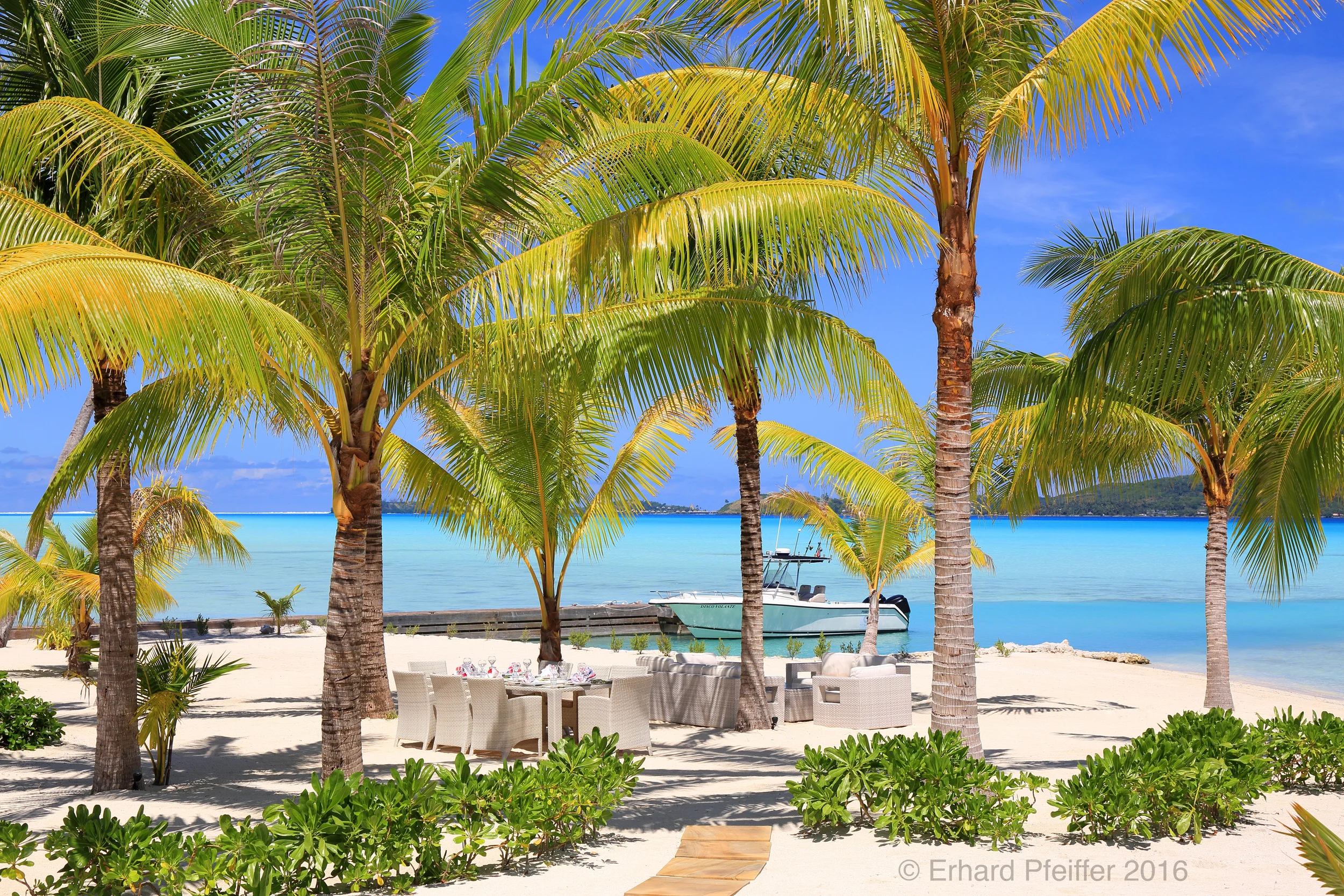 Bora_9333_Revised_view saturated.JPG