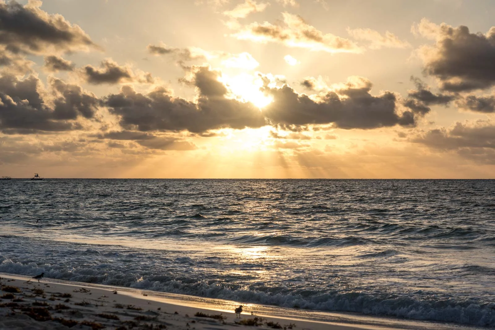 sunset-4885.jpg
