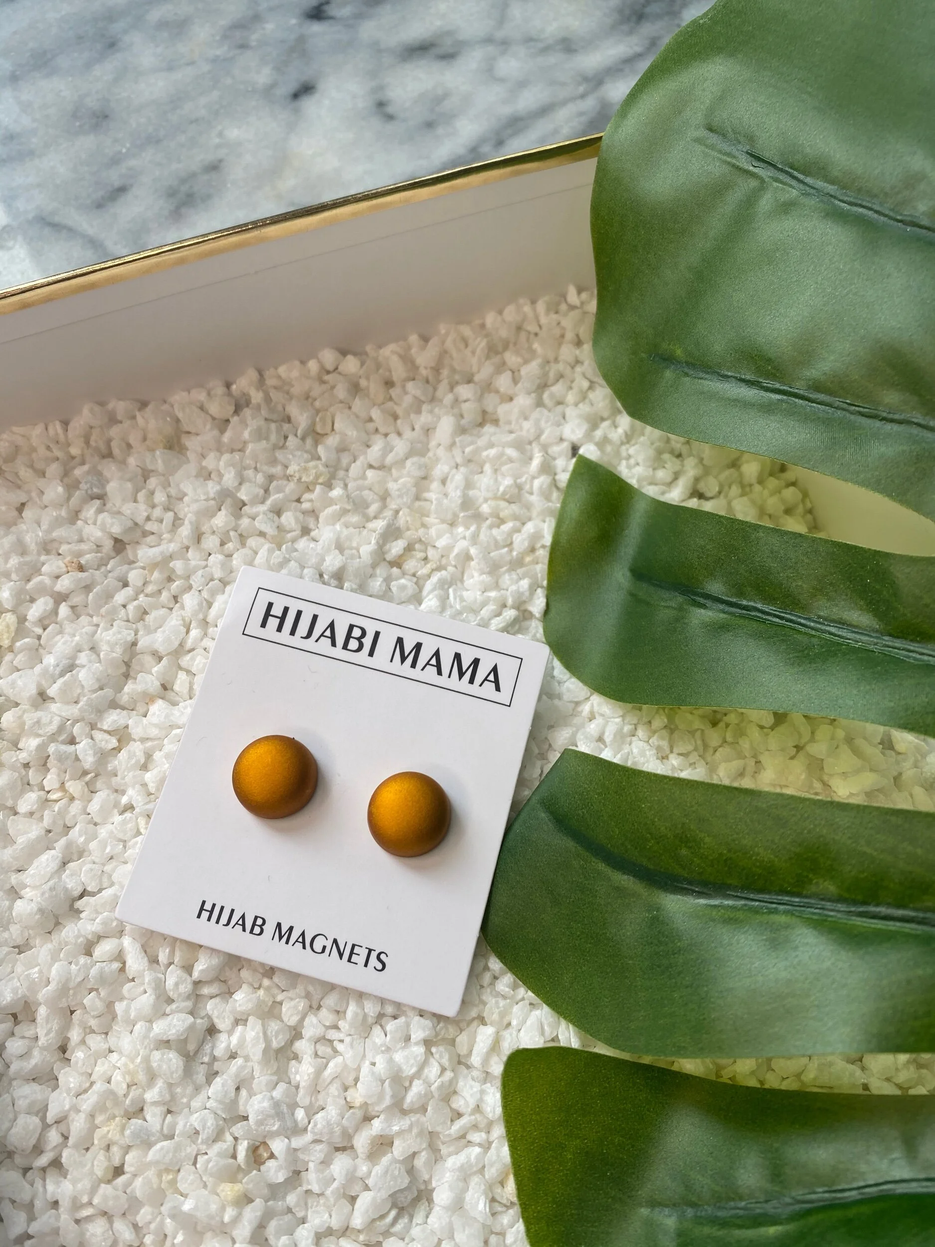 85A6C8CE-8BBA-43A4-8527-431D48302DE1