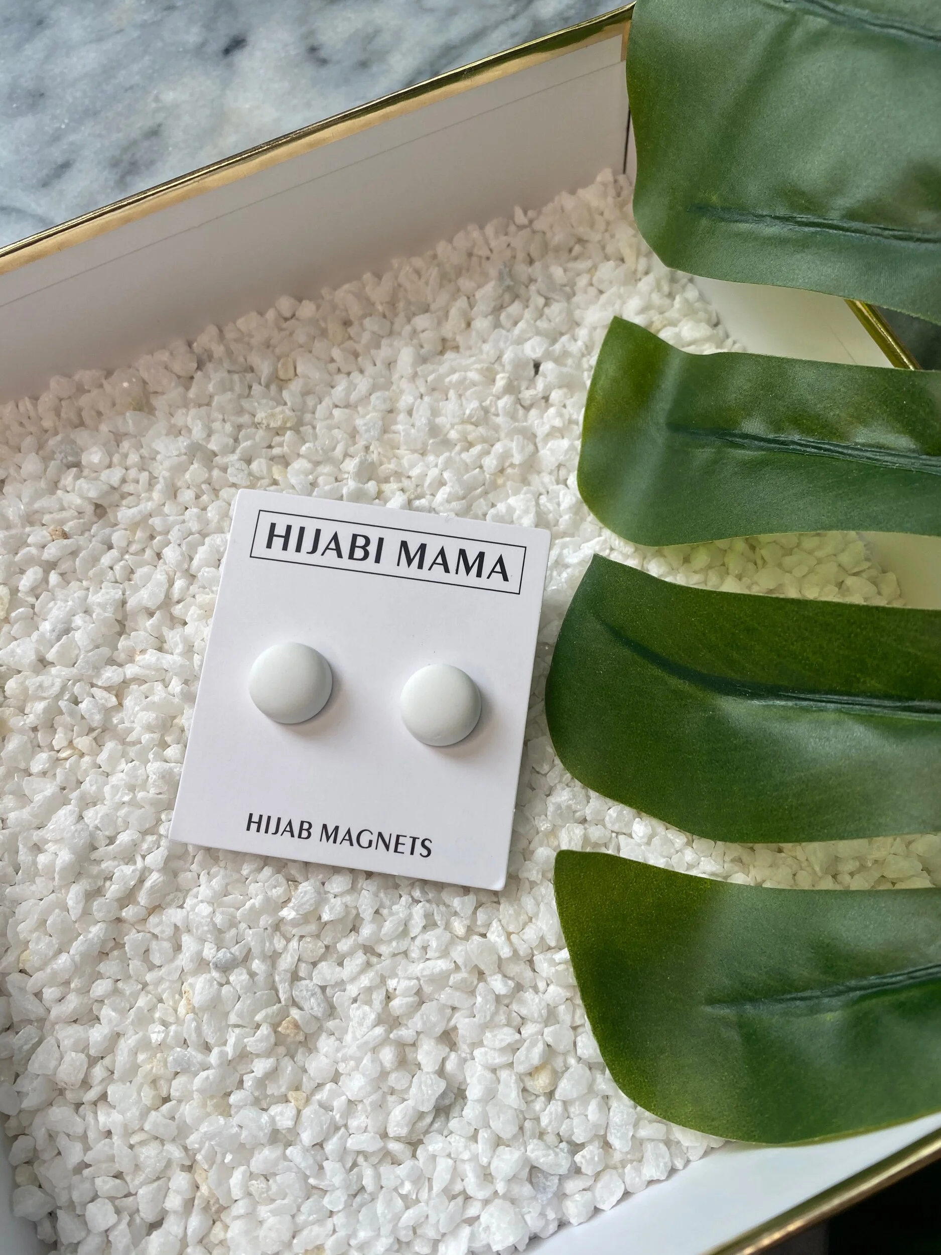 262618C5-9CC3-4A92-88D1-2D84DAEAA2E7