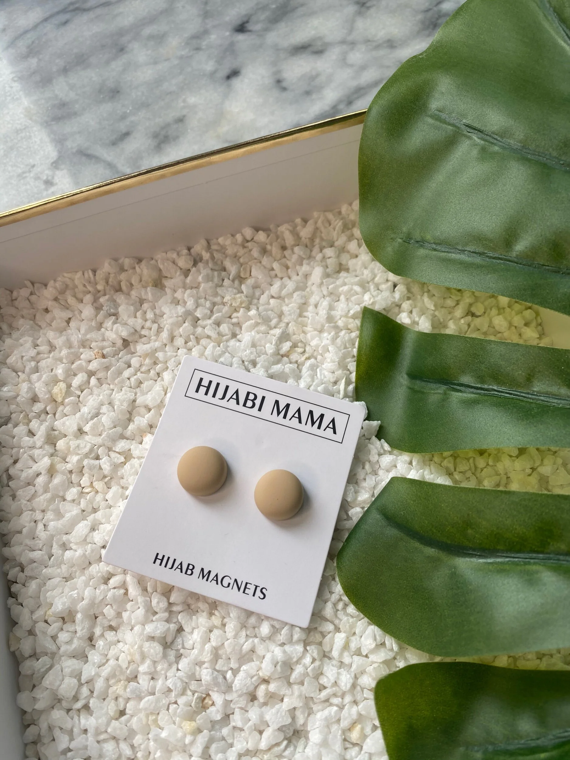 73E81705-23E2-45A9-95BA-4A87060A6206