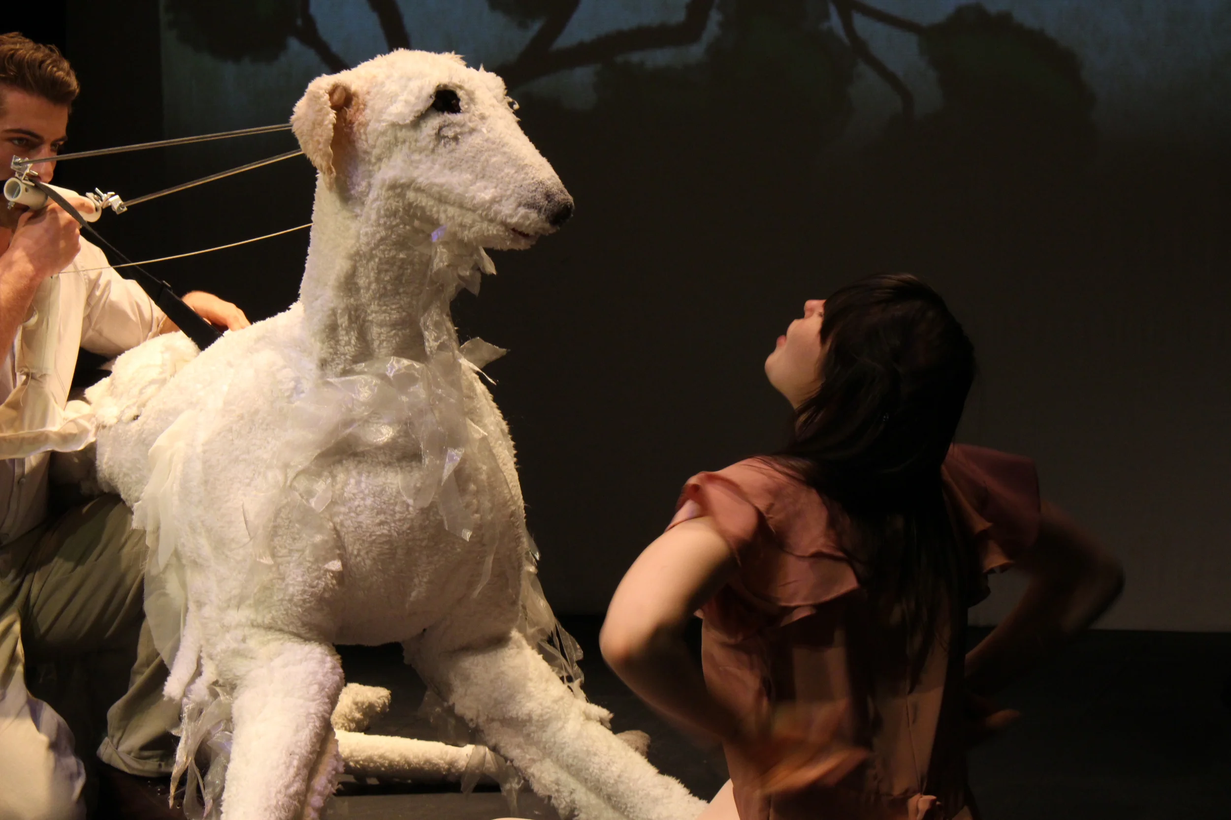 The House of the Spirits By Caridad Svich 