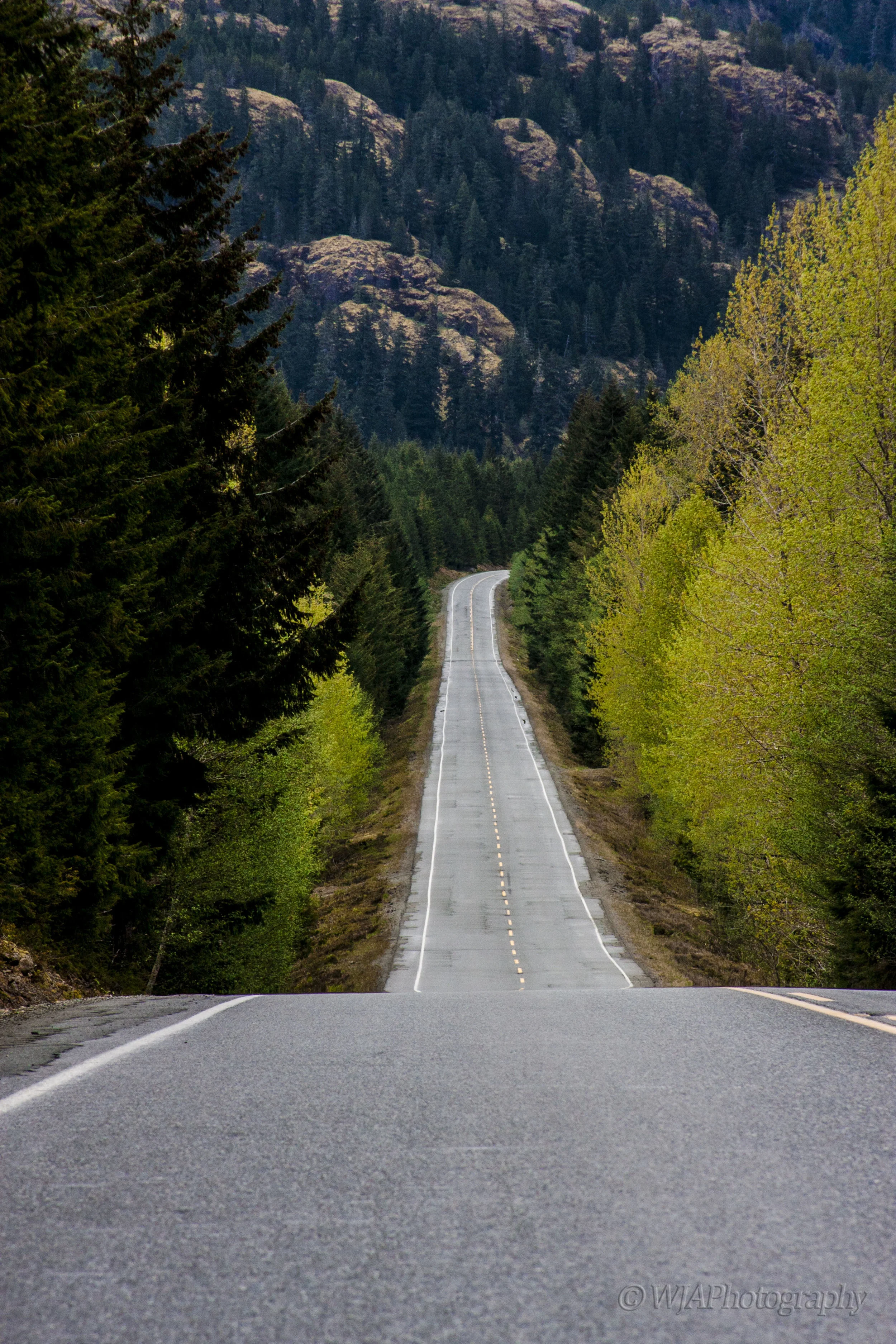 long road to the bluffs.jpg