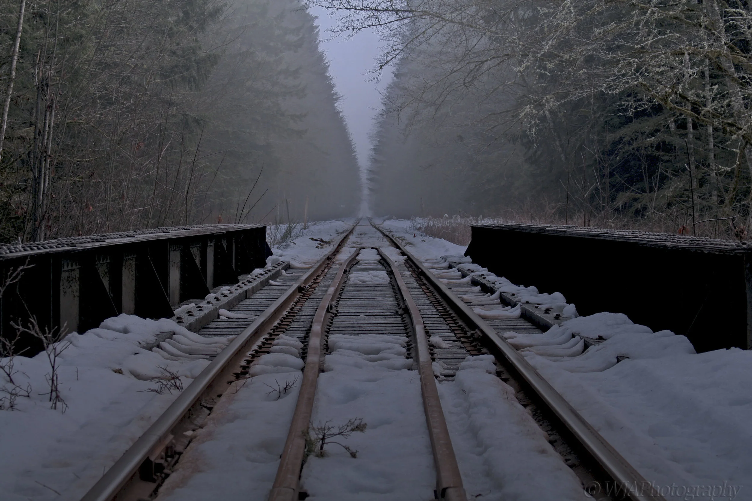 snow train tracks.jpg