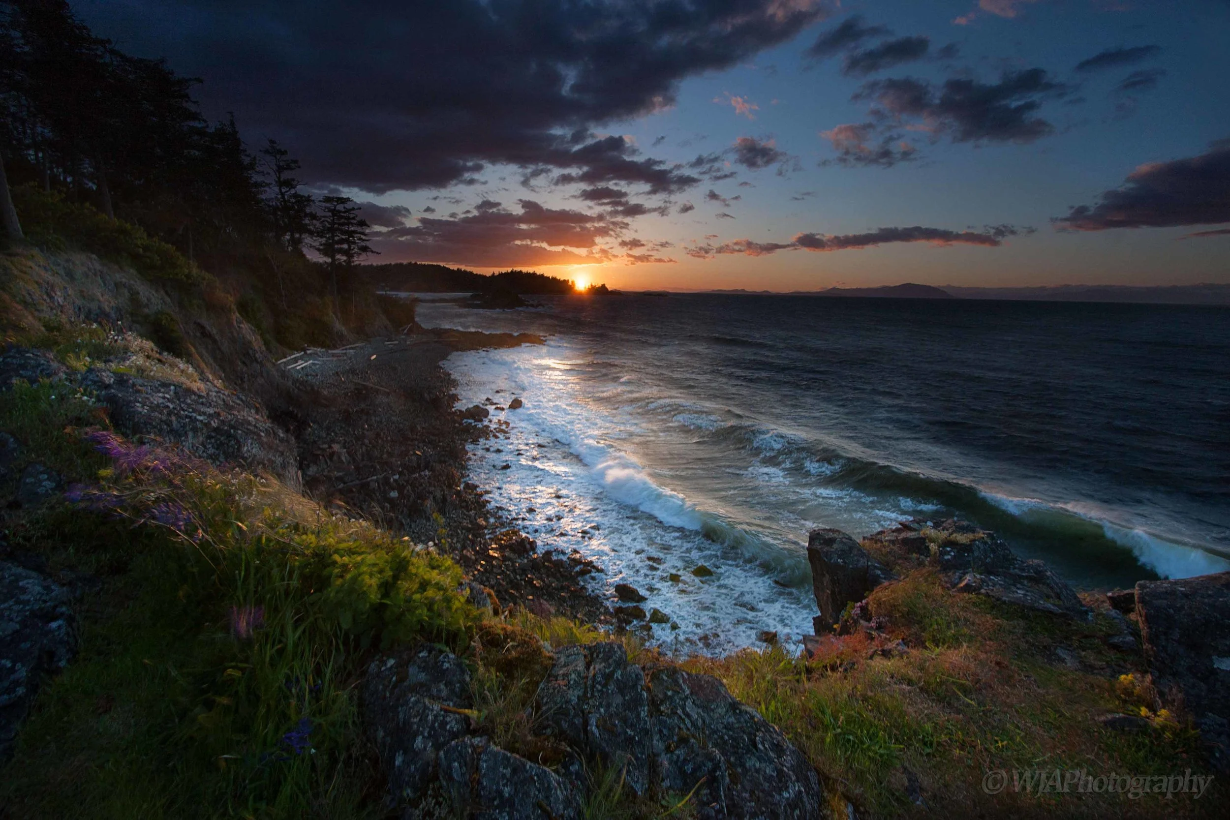 Spring Wind Storm.jpg