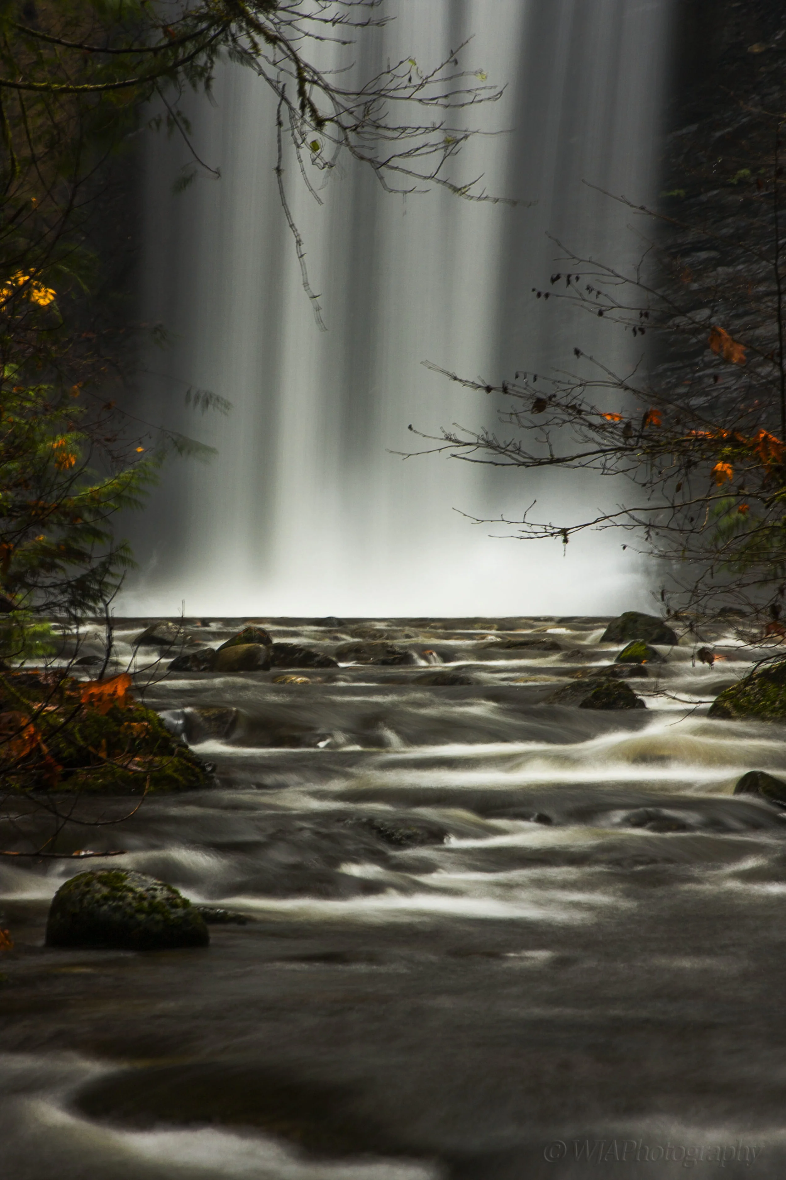Ammonite Falls Blurred Close up.jpg