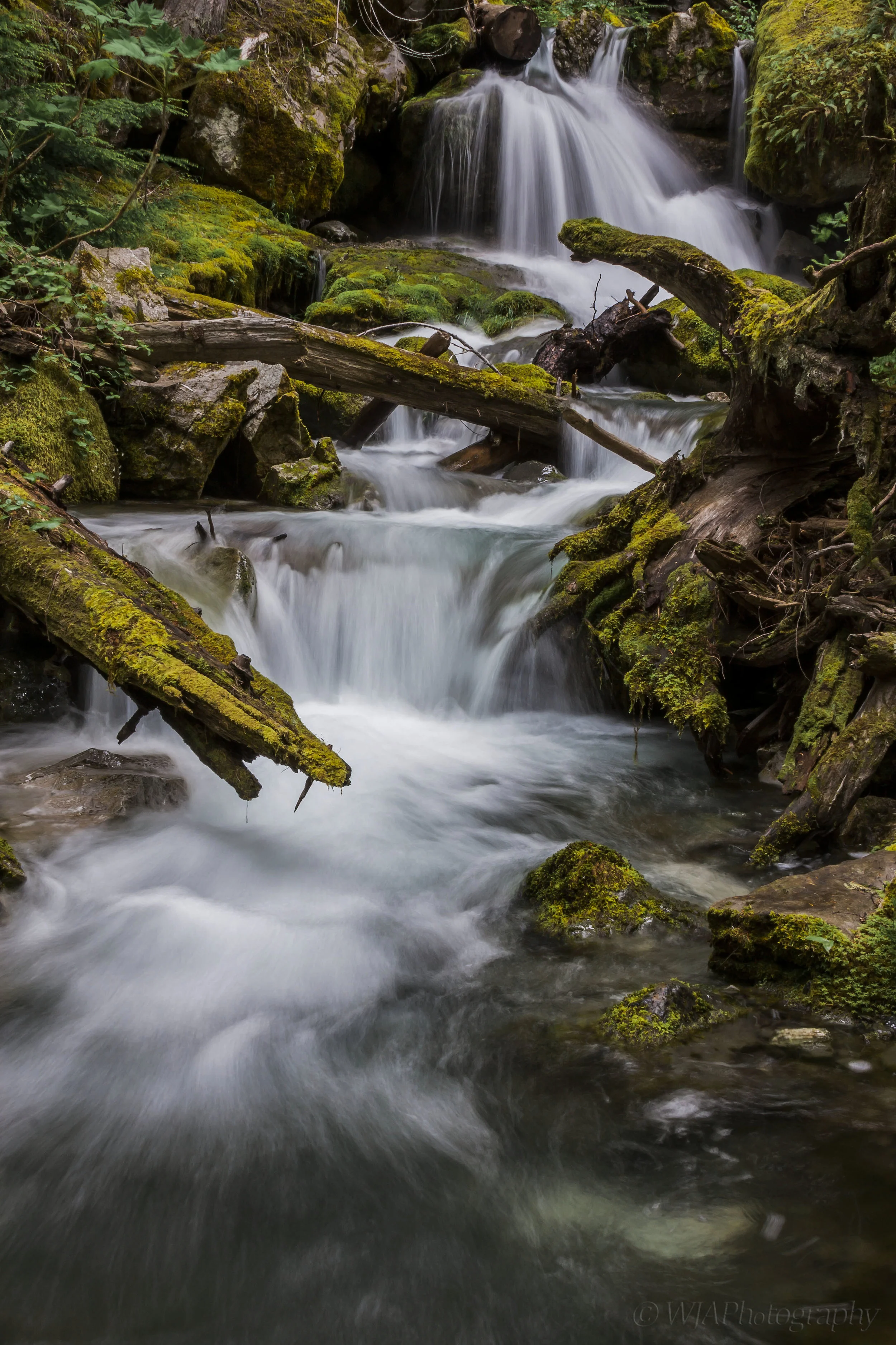 Krast Ceek misty water.jpg