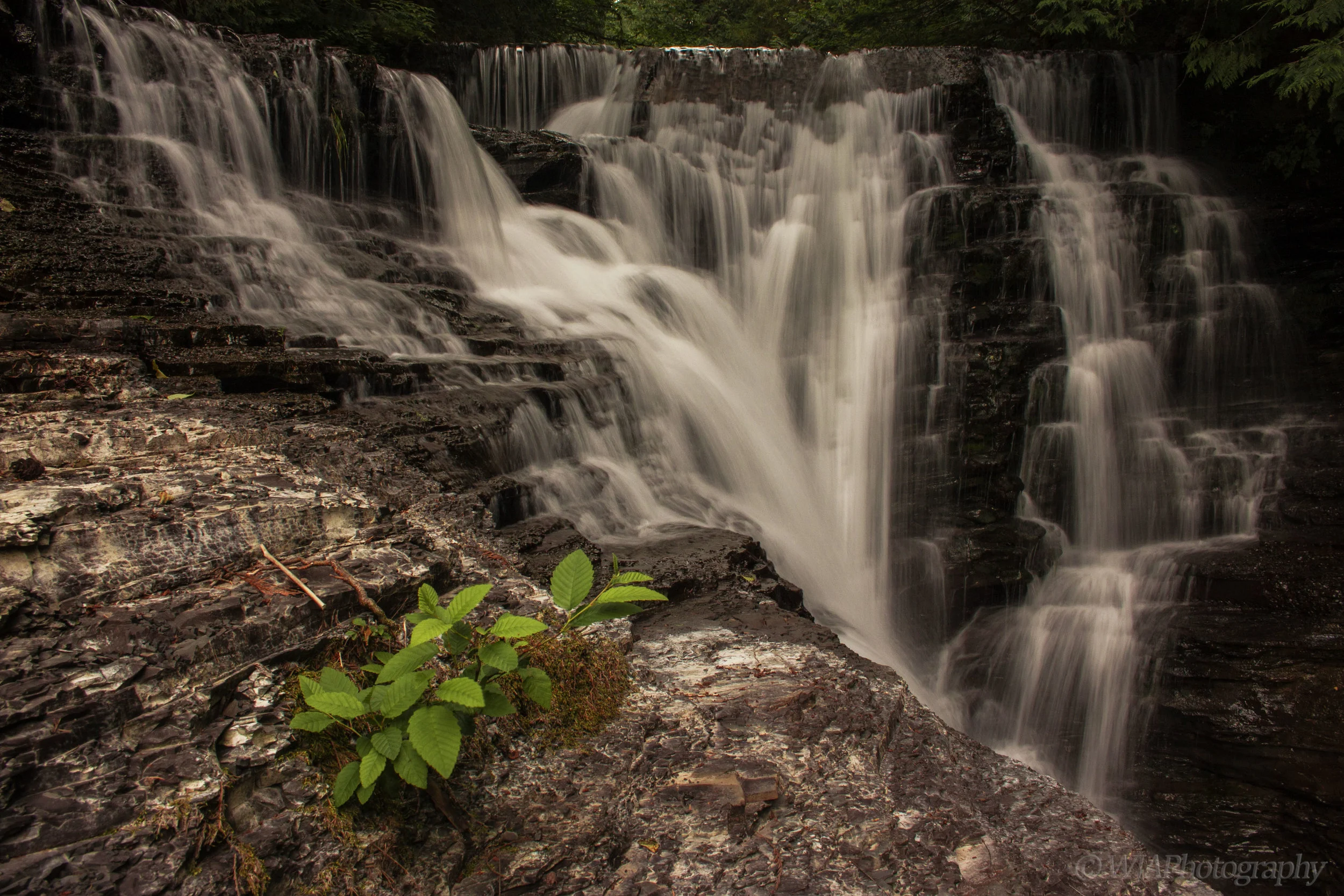 stokes creek falls.jpg