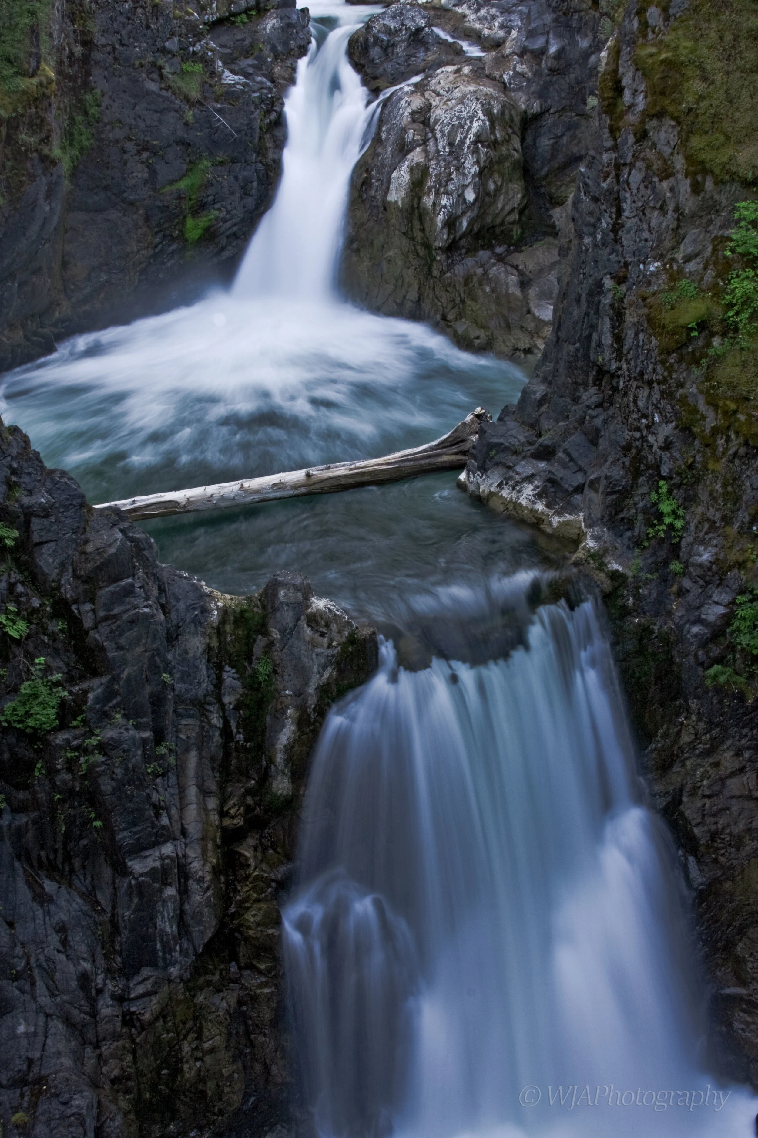 upper qualicum falls.jpg