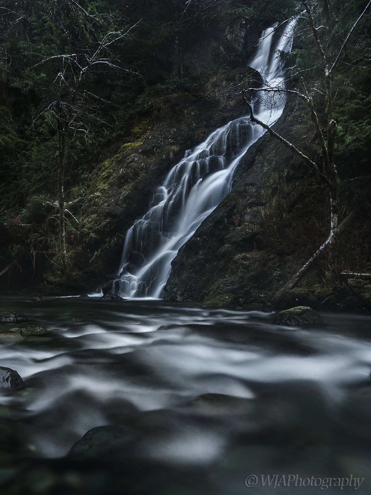 Falling in Silence.jpg