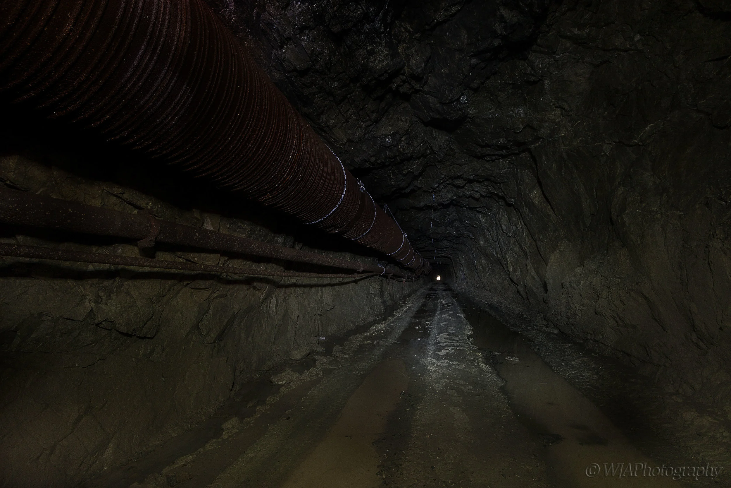 A Point of Light.jpg