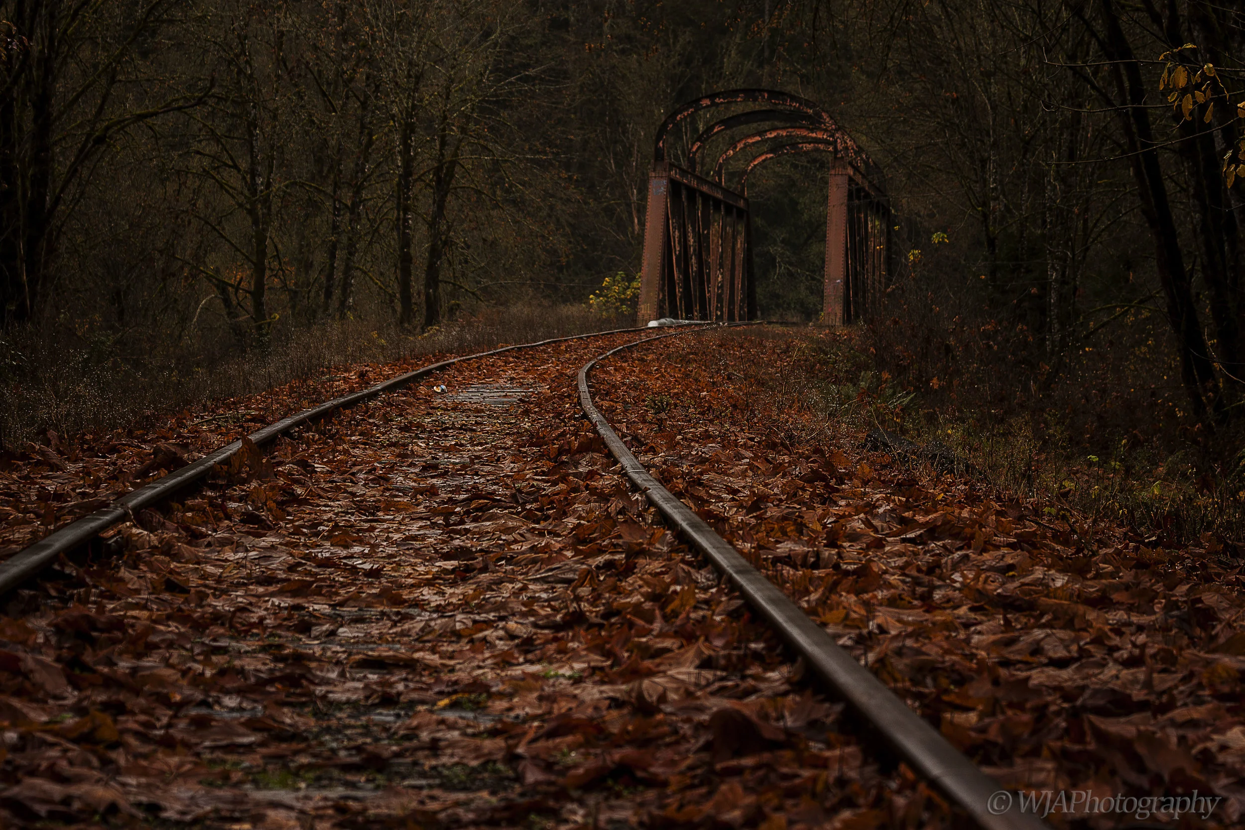 Fall on the Tracks.jpg