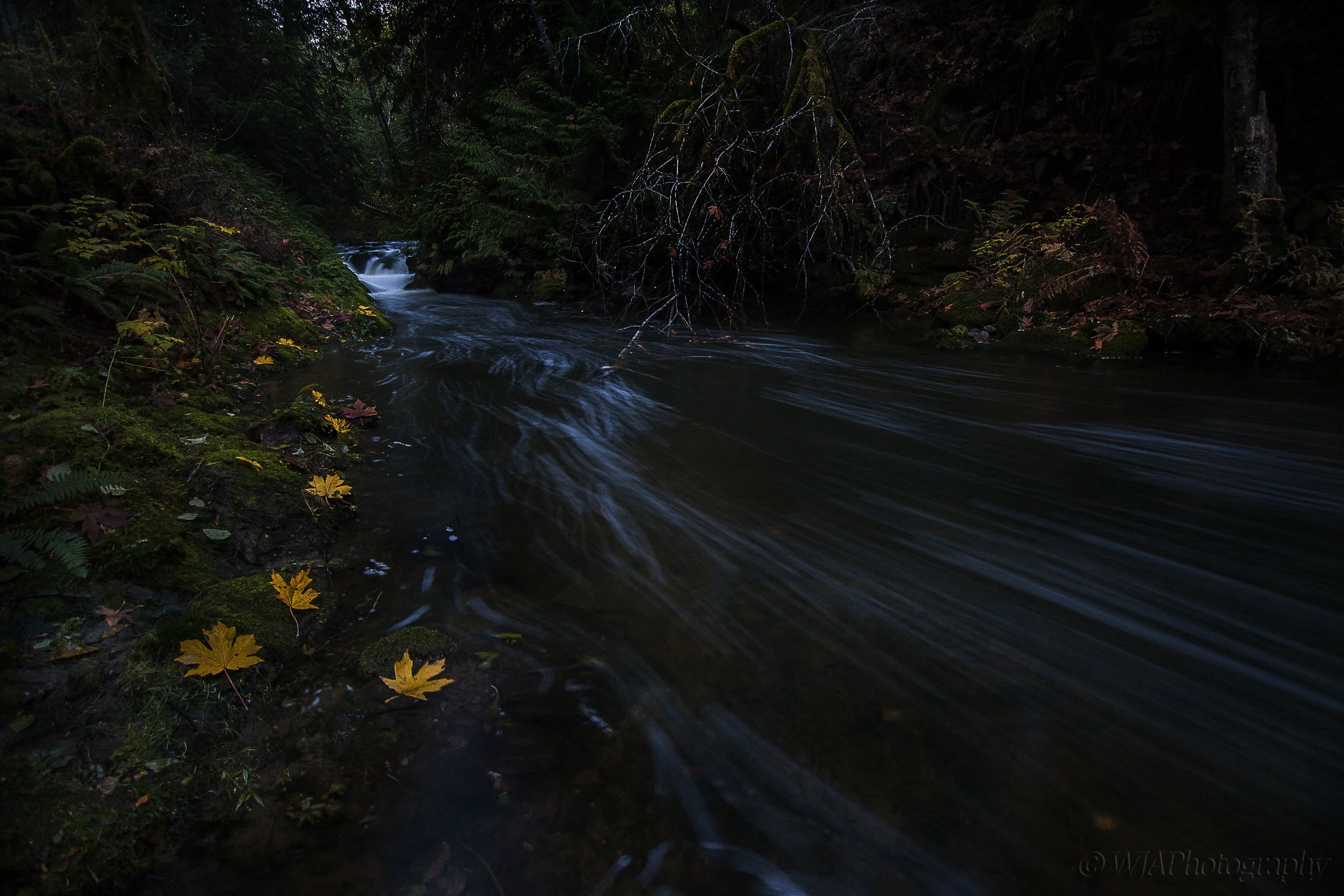 Fall at First Falls.jpg
