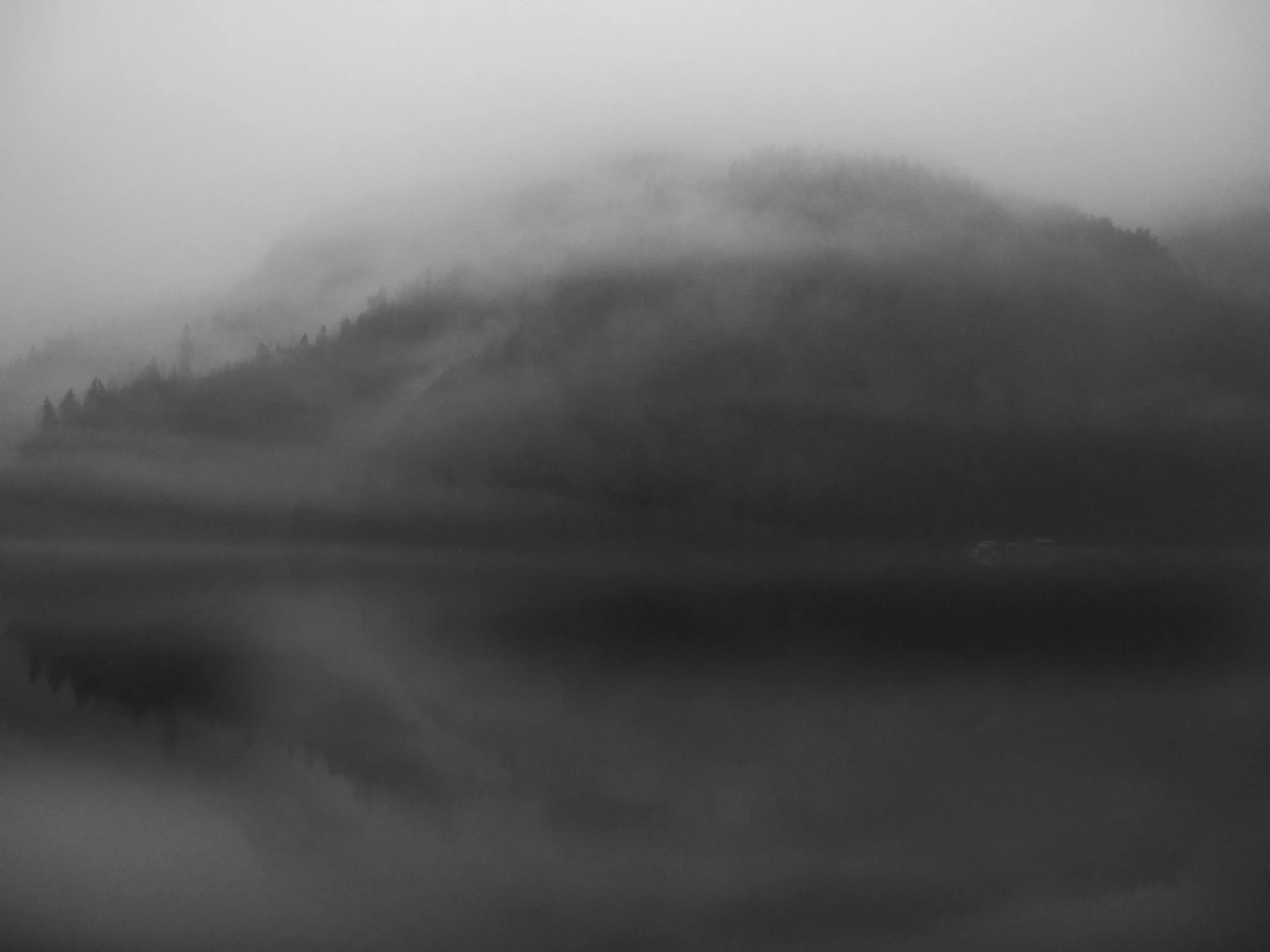 foggy lodge.jpg