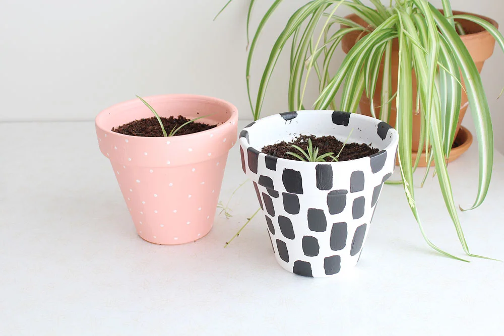 DIY-Painted-Plant-Pots-1.jpg