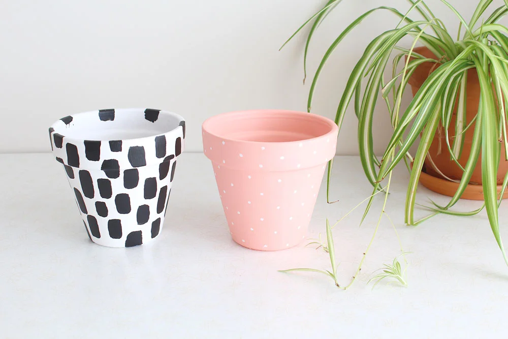 Painted-Plant-Pots-And-Spider-Plant.jpg