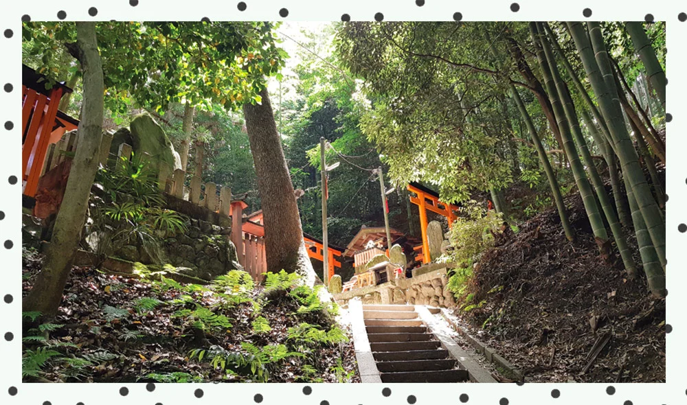 fushimi-inari-shrines-kyoto.jpg