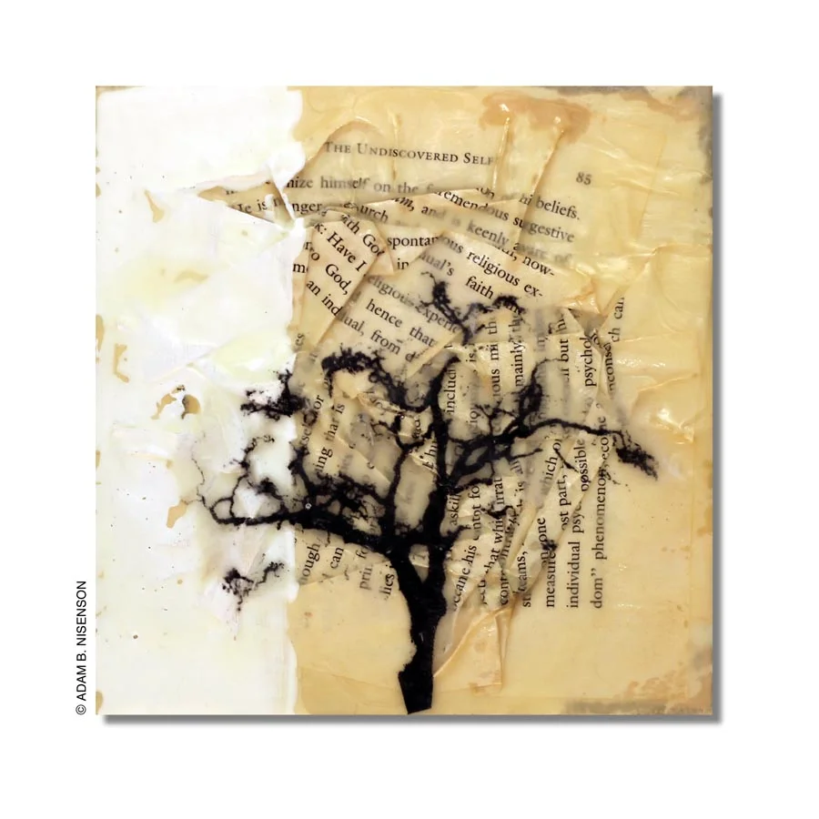 Grounded #11, 2016
