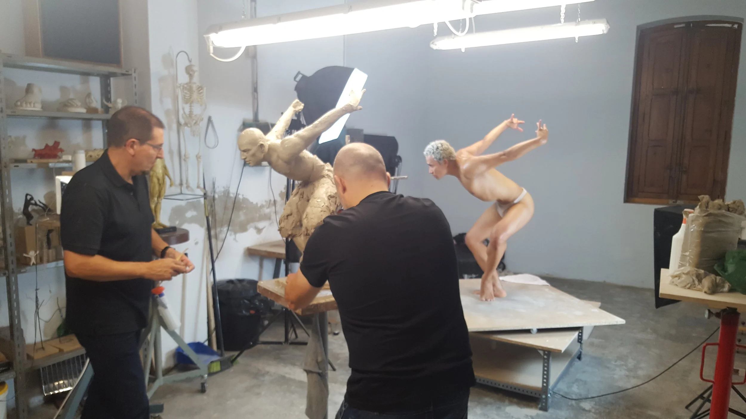 Modelando Flight of the Swan.jpg