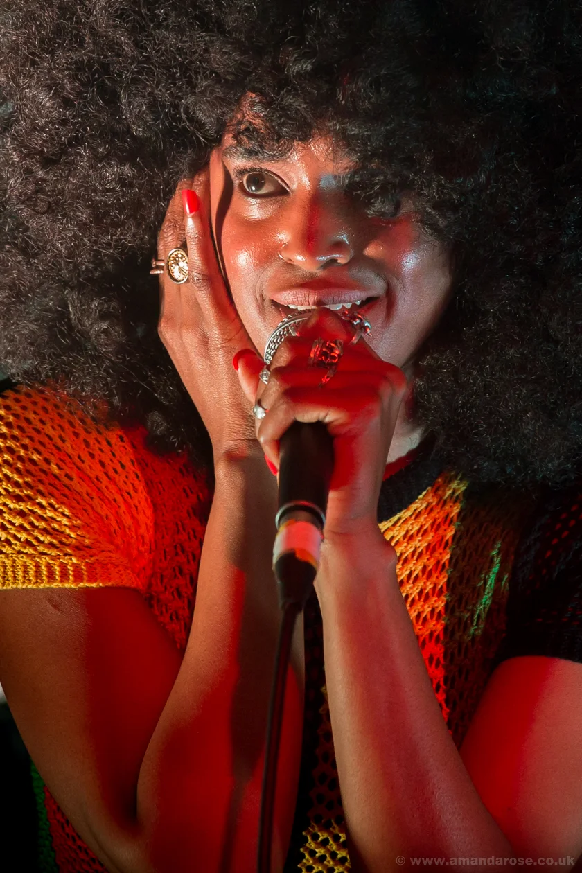 Photo by Amanda Rose.