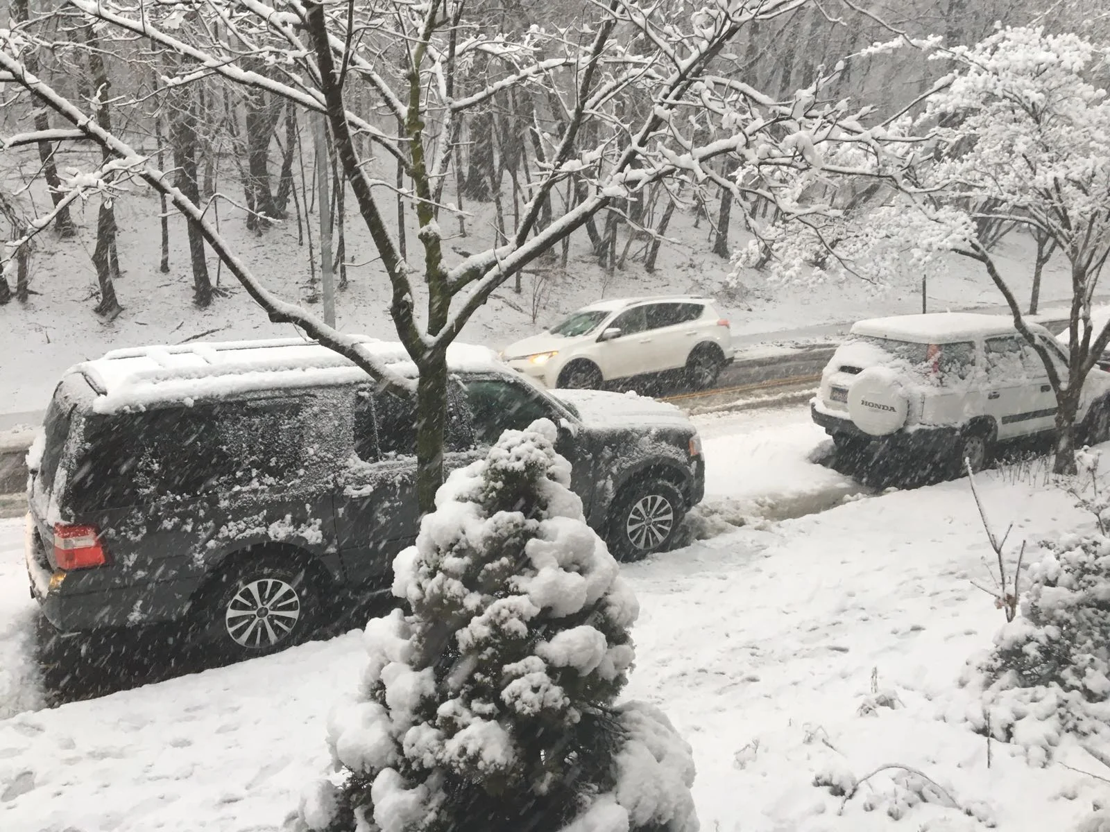 The snow in Queens (NY)