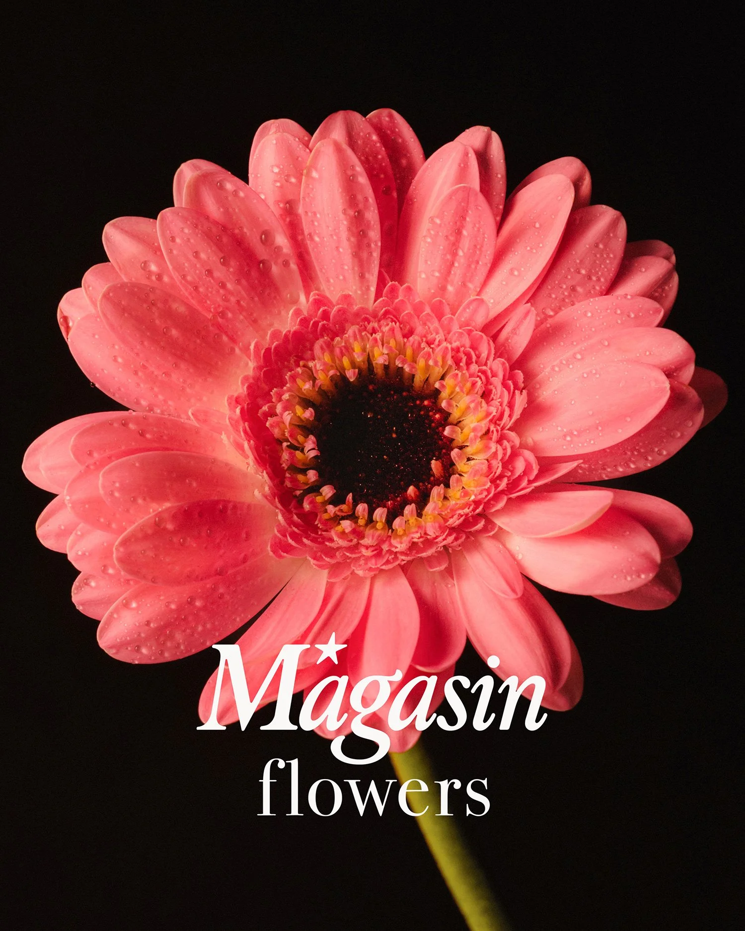 MAGASIN-FLOWERS2LOGO1WEB.jpg