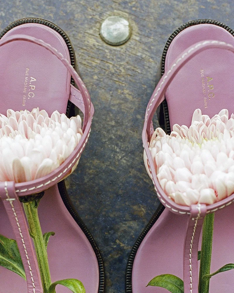 APC3CROPPED.jpg