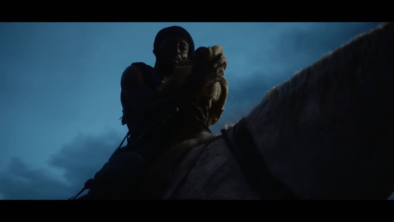 History - Roots Teaser