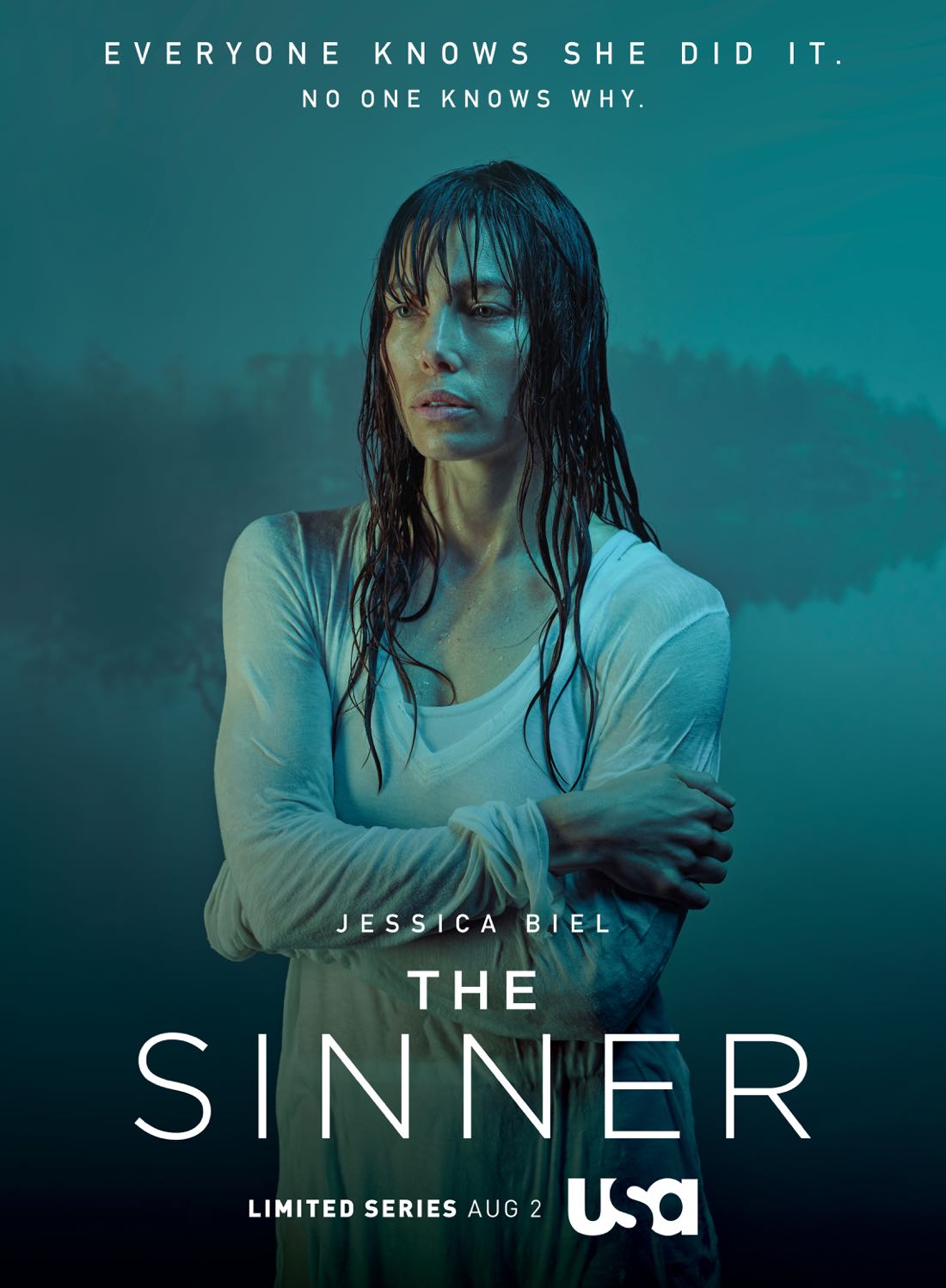 The Sinner - USA