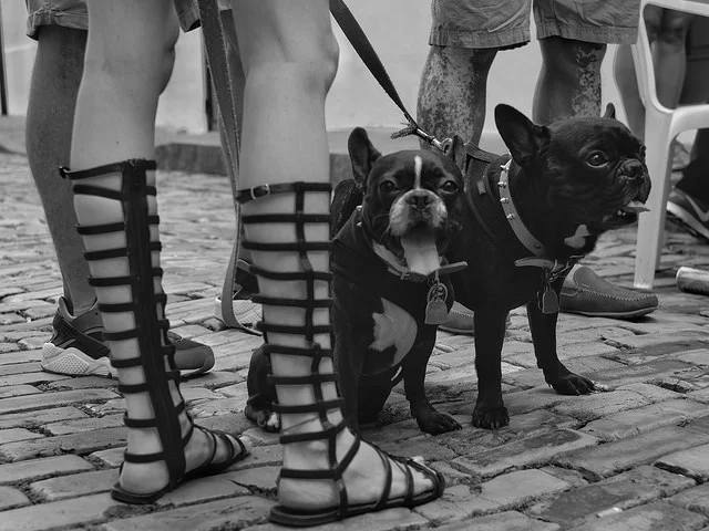 Fiestas de la Sanseb 2016