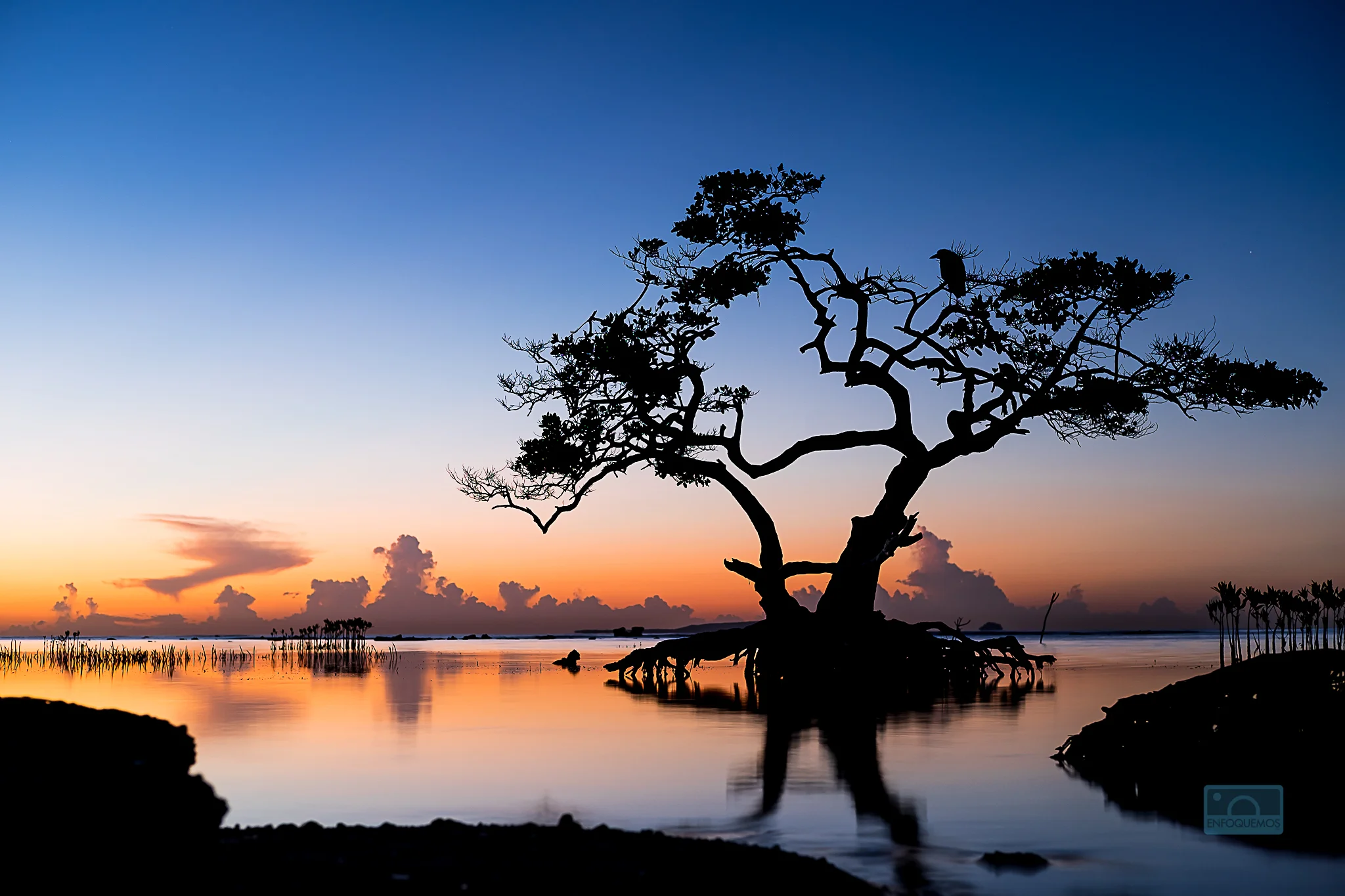 Amanece en La Guancha, Ponce