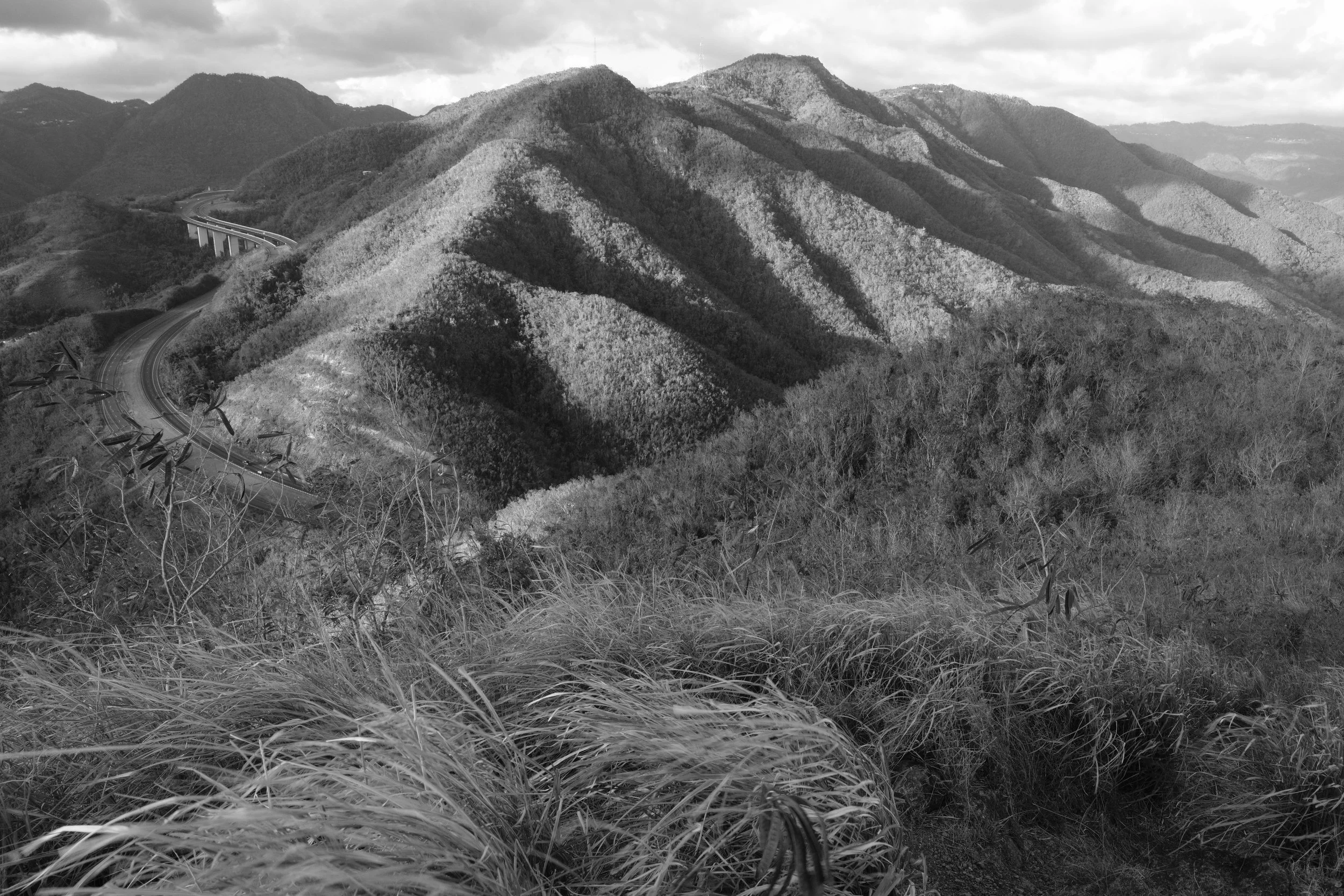 DSCF3121.JPG