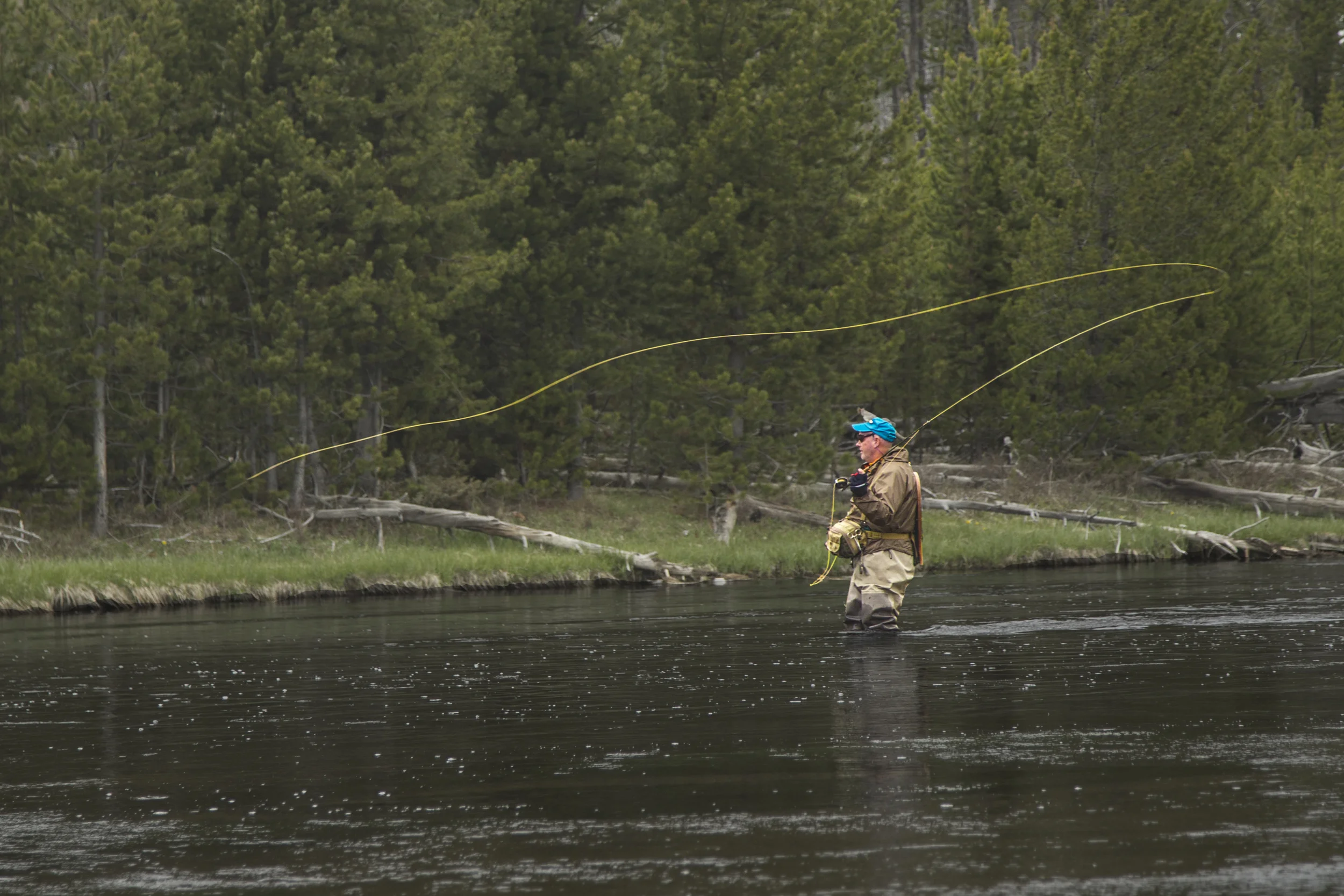 FlyFish.jpg