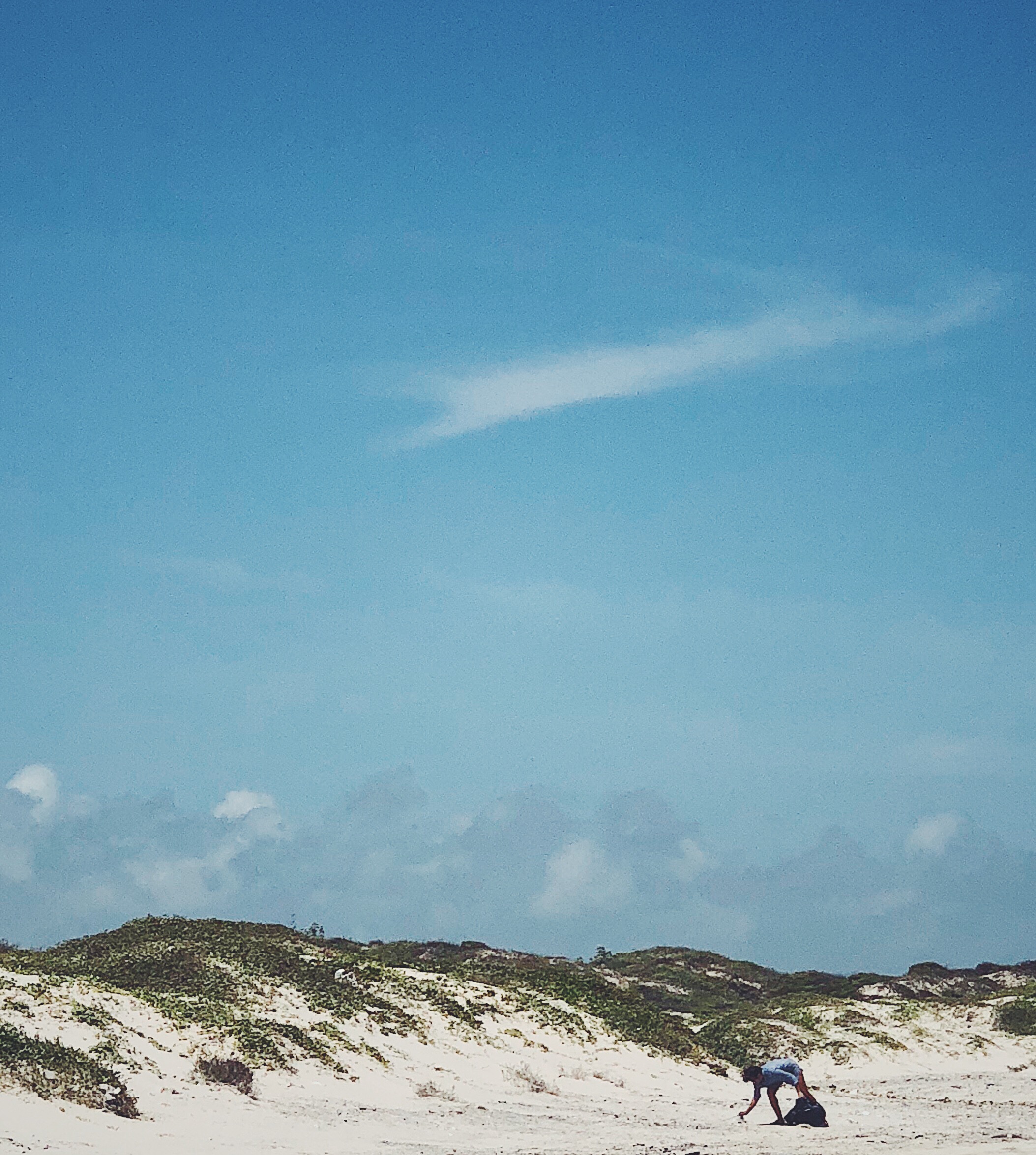 Sock at beach.jpg