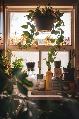 Kitchen Meditations