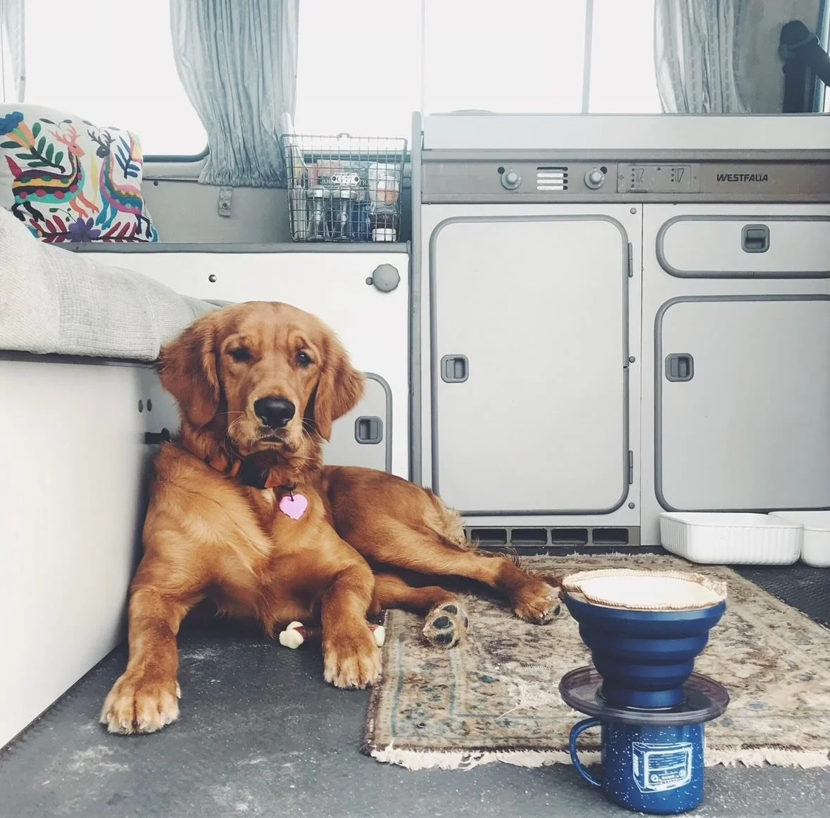 ✨One idea to keep it slow and simple&hellip; Waste less hack: Think of a writer and his dog.

In the fall of 1960, author John Steinbeck set off on a cross-country trek with his standard poodle, Charley. He wanted to reacquaint himself with the vastn