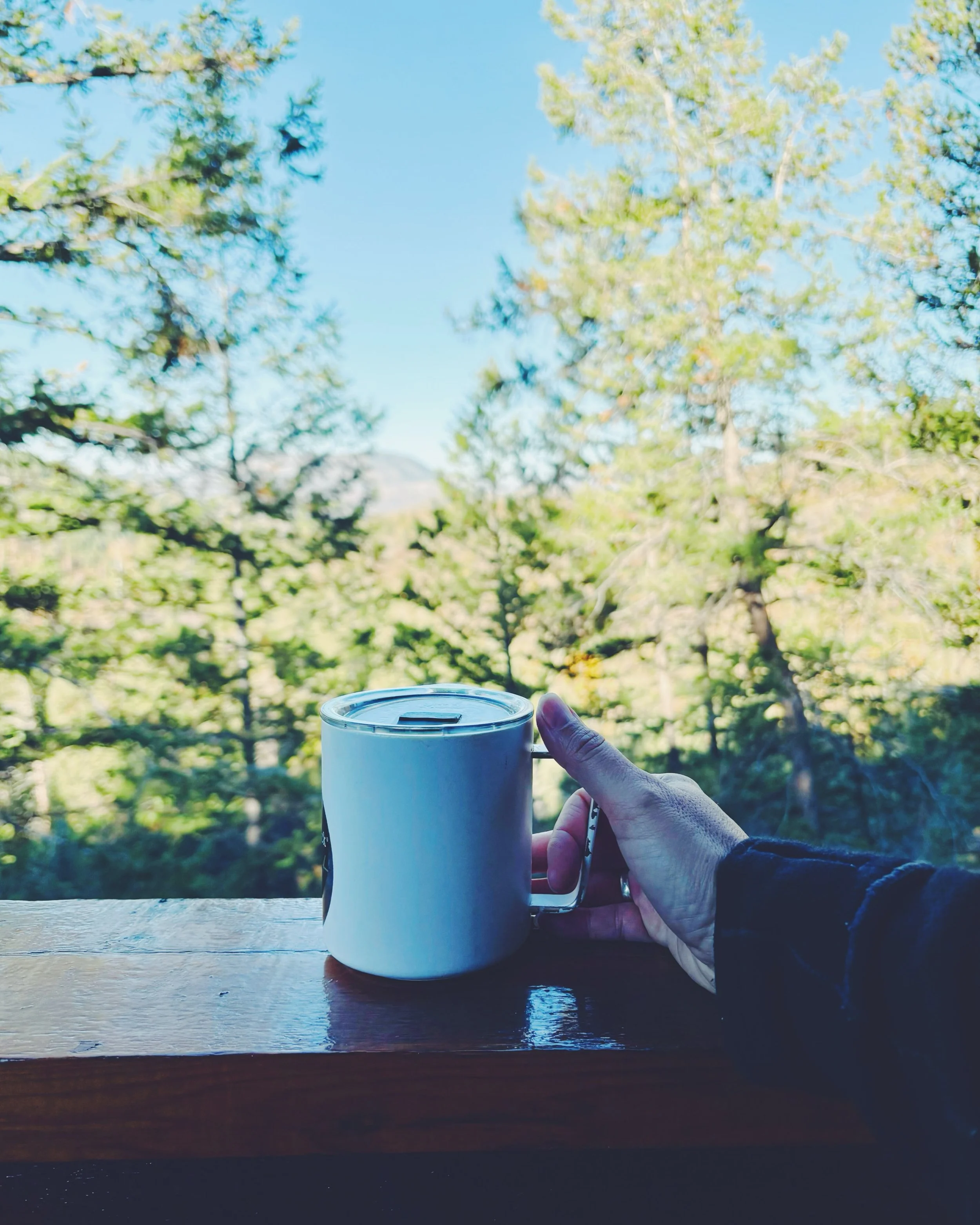 ✨One idea to keep it slow and simple&hellip; Read the trees 🌲 

It doesn&rsquo;t matter what the weather says, when October 1st hits, peak fall mode begins. We don&rsquo;t make the rules.

It means hot tea, a good book, pumpkins as both spice and de