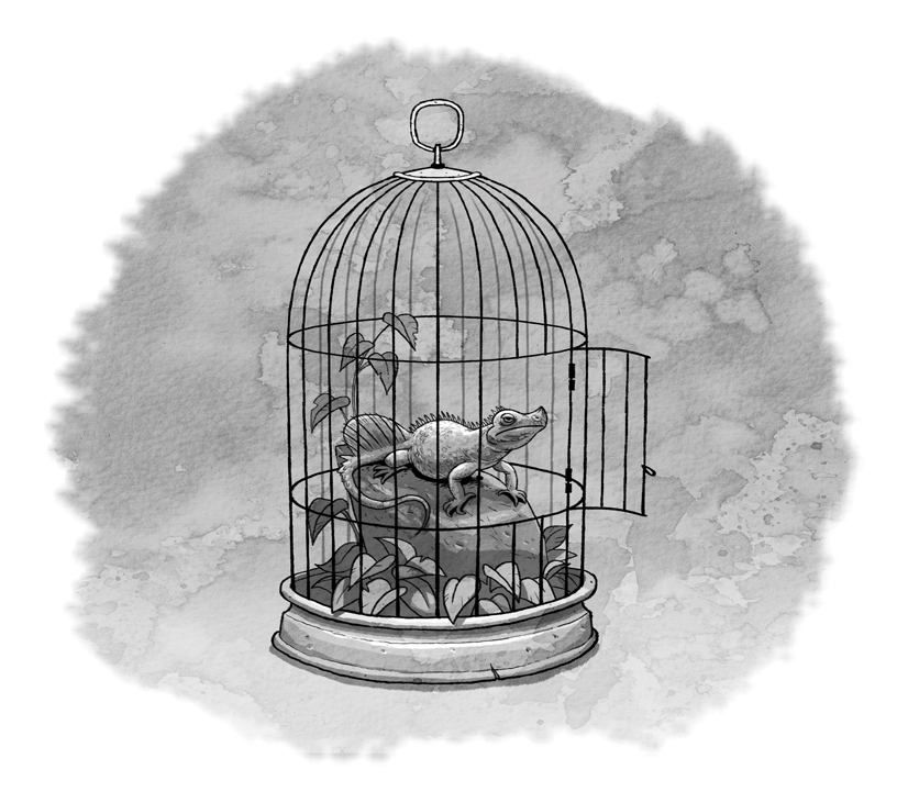 LU2_06_Cage.jpg