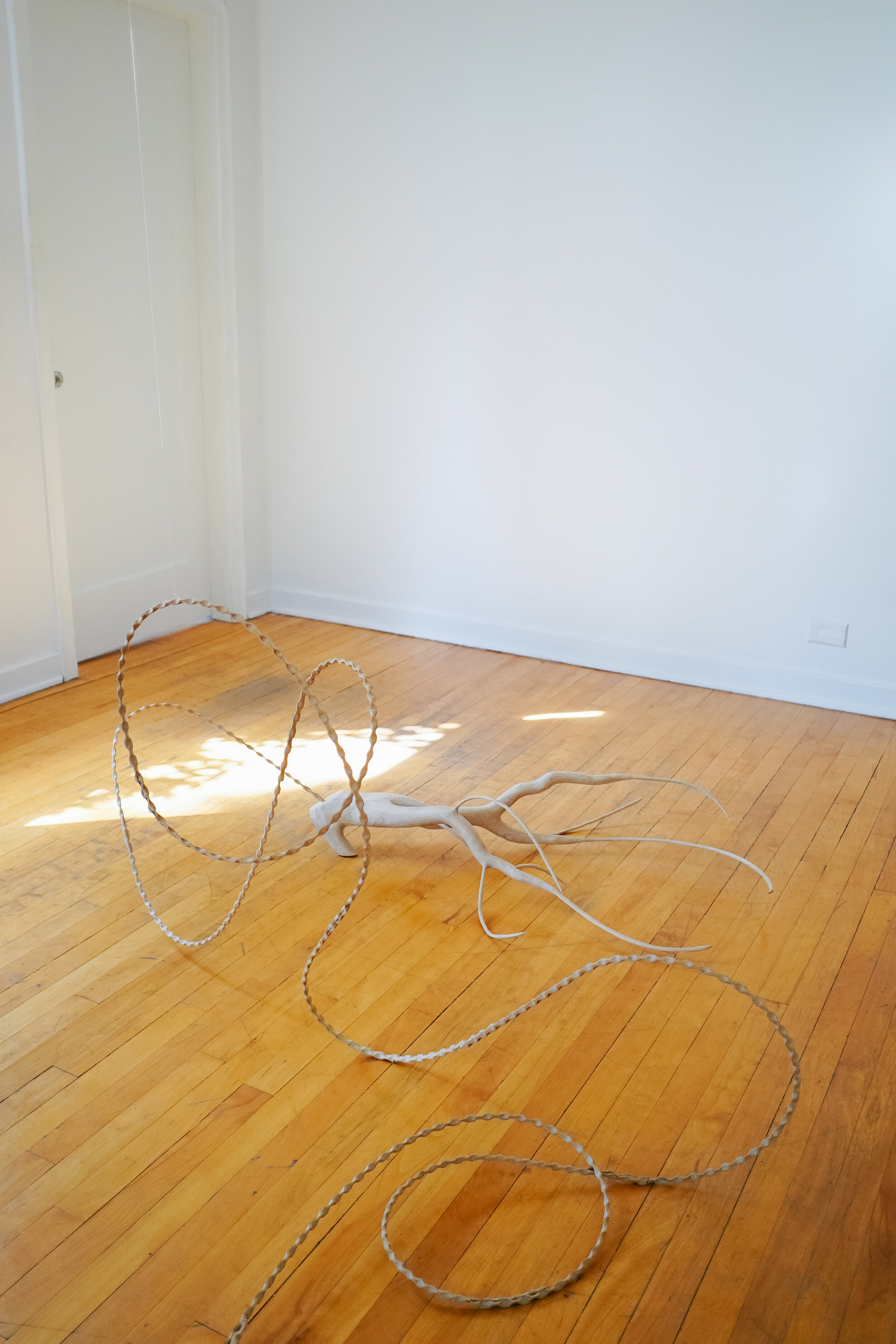   The Leash of Love  (foot: 14” x 6” x 14”, root: 38” x 27” x 8”, rope: dimensions variable) white oak 2021.  (photo April Wilcocks) 