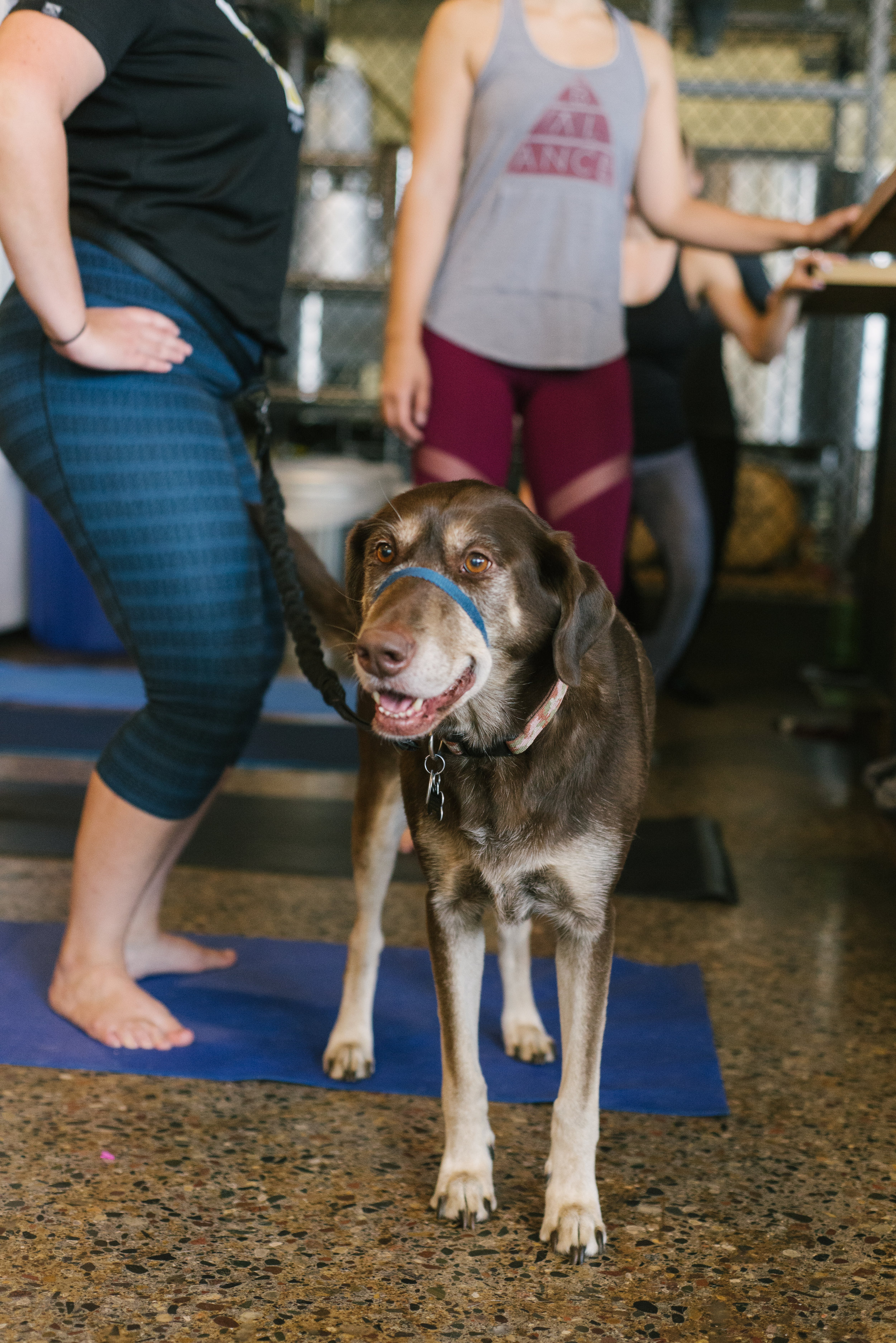 Barre_Barktoberfest_2018-36.jpg