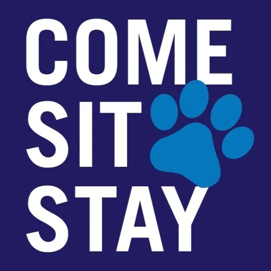 Come Sit Stay Labrador Meet Up &amp; Happy Hour!