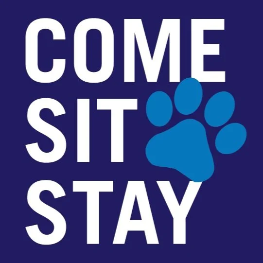Come Sit Stay Collie Meet Up
