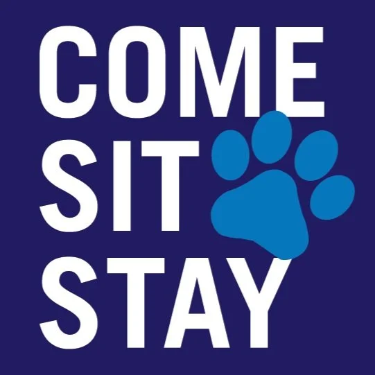 Come Sit Stay Shih tzu Meet Up