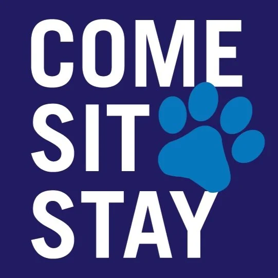 Come Sit Stay Happy Hour and Greater Swiss Mountain Dog Meet Up