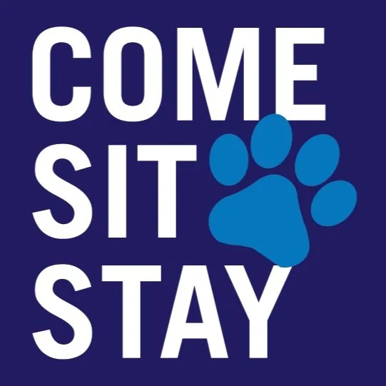 Come Sit Stay Happy Hour and Dachshund Meet Up