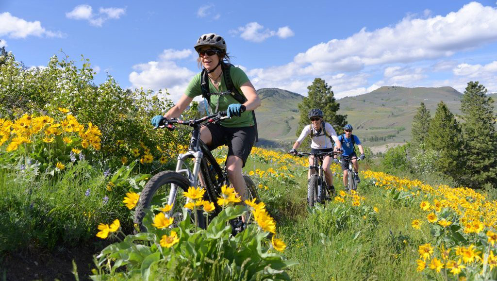 bikethemethow.jpg
