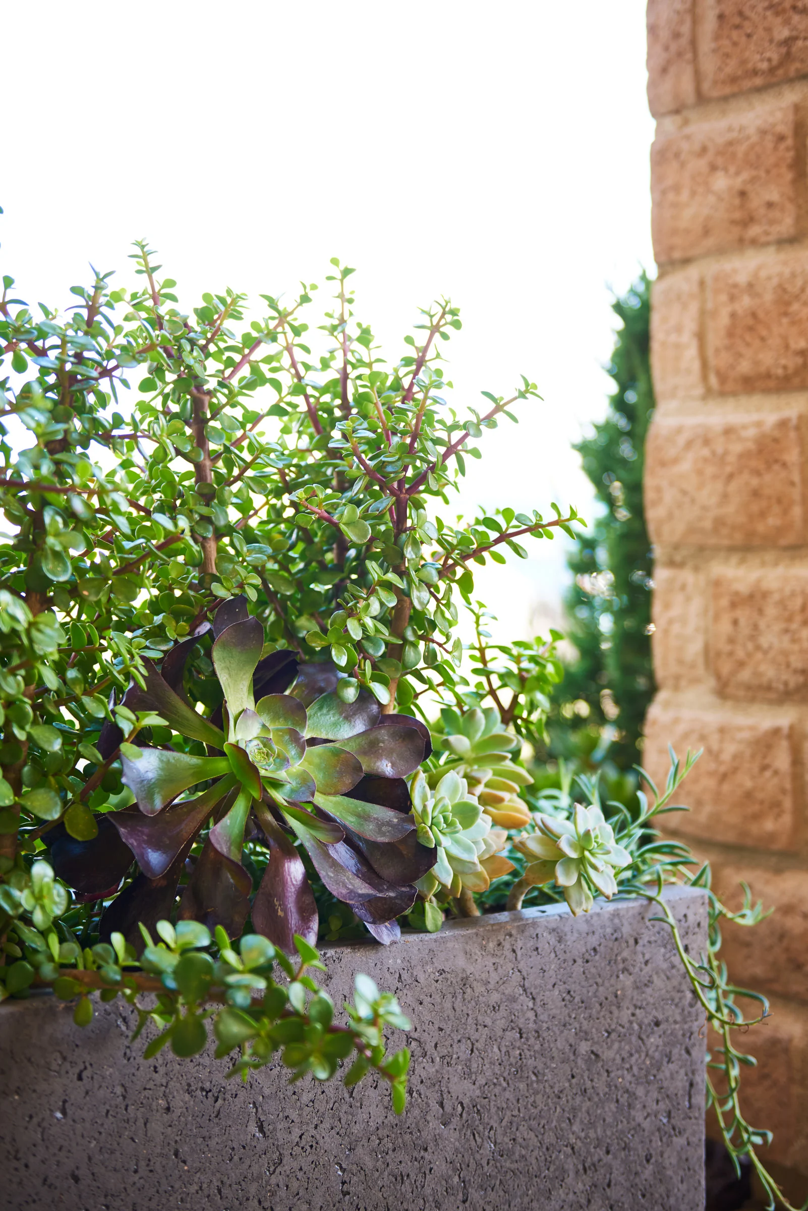 160513_Covey_1A_Exterior_2.jpg