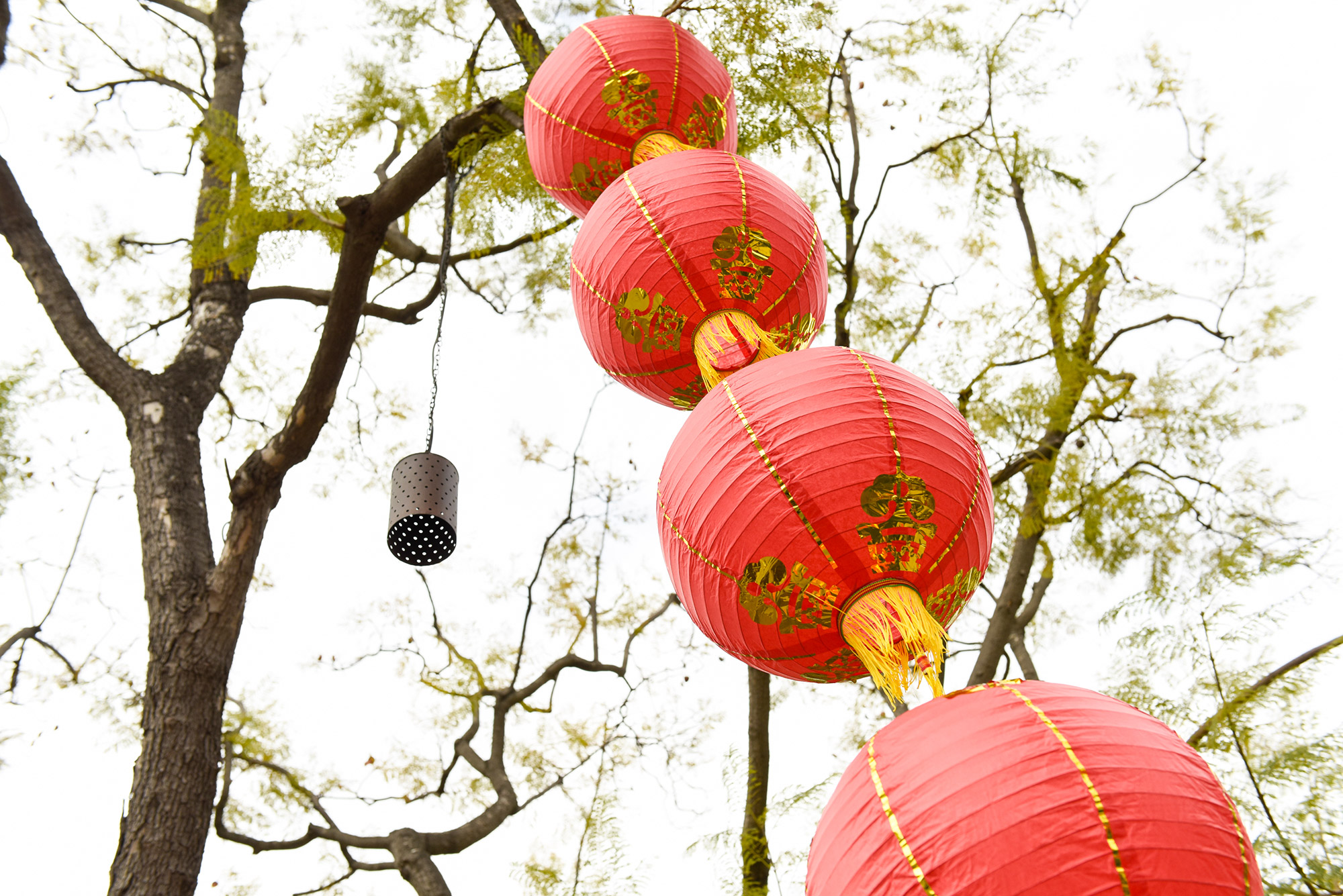20150221_FPC_Lunar_New_Year_025.jpg