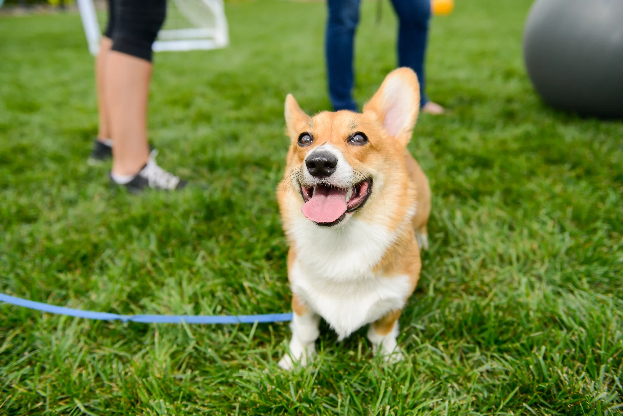 151025_FPC_Sunday_Funday_128.jpg